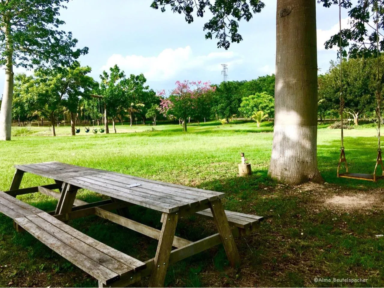 BBQ facilities in Villas Vallazoo