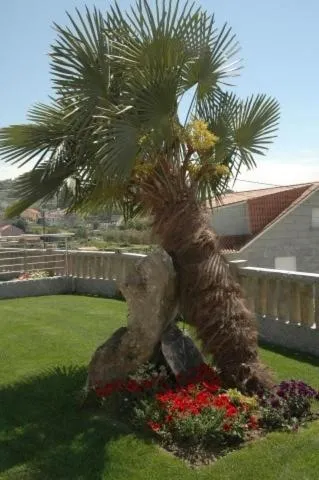 Day in Hotel Liñares