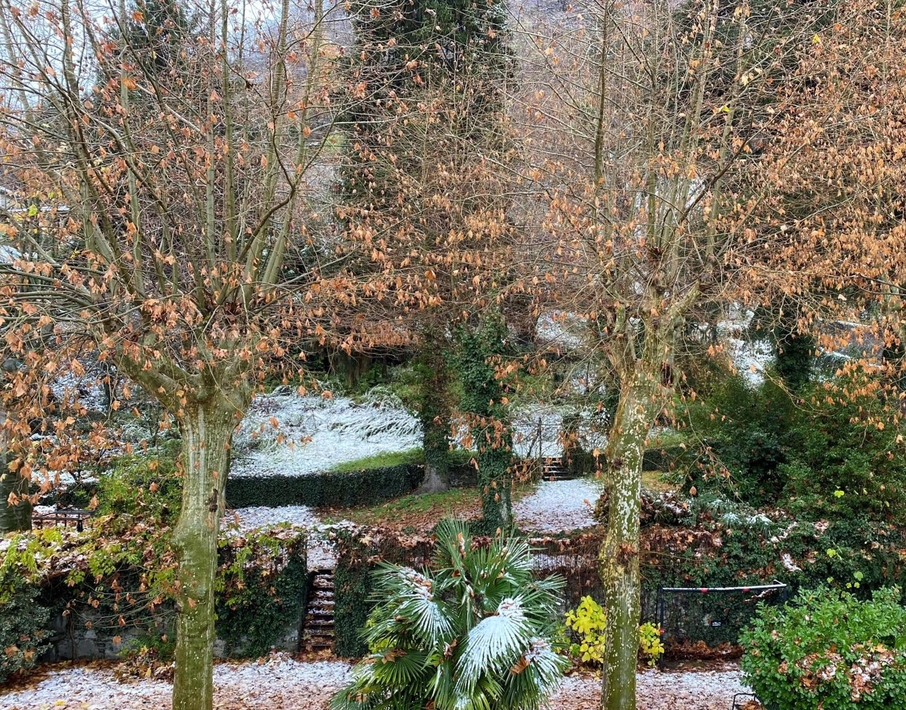 Natural landscape in Hotel Trieste