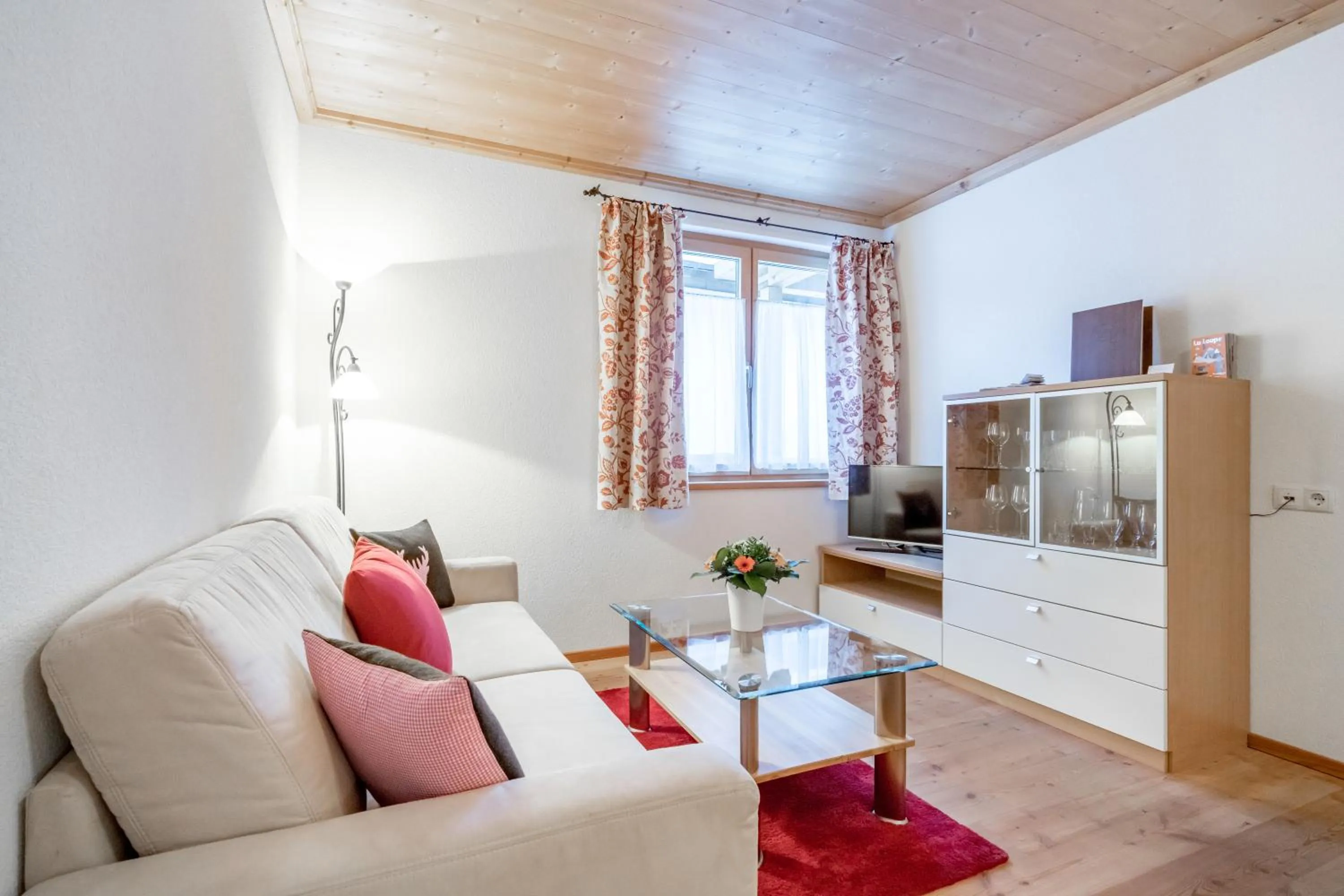 TV and multimedia in Bühlhof Appartements