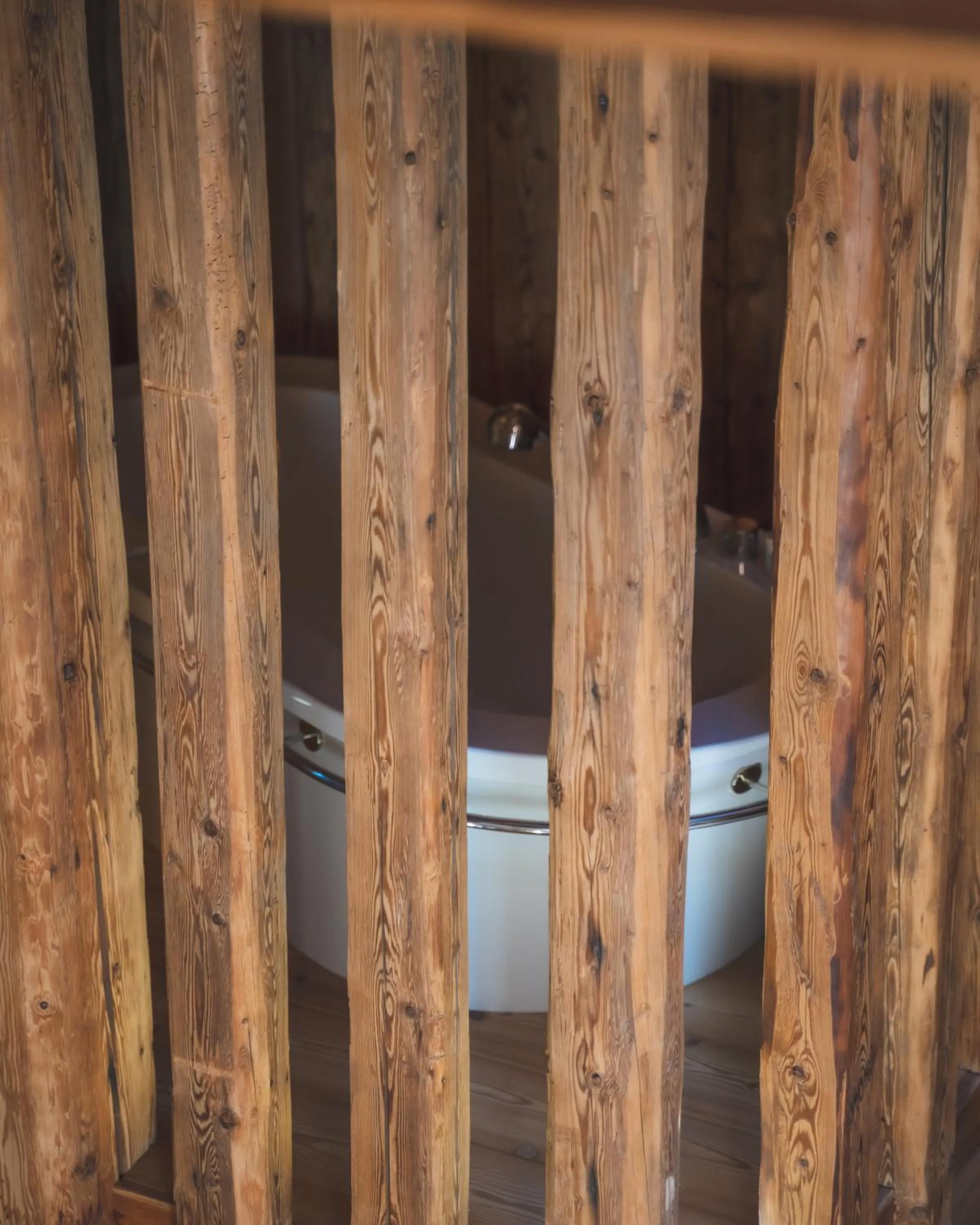 Bath in Alpen Hotel Chalet