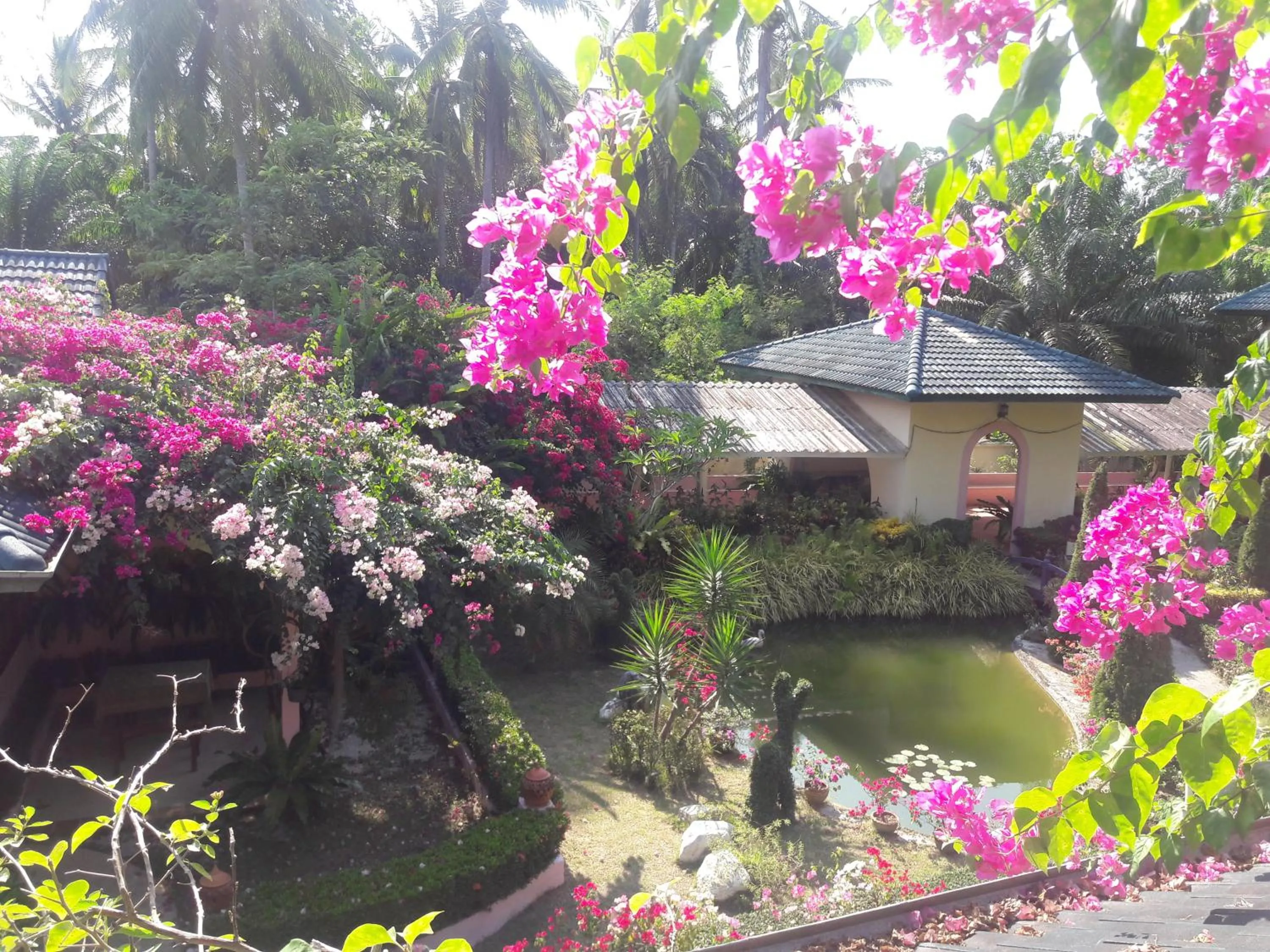 Garden view in Ekman Garden Resort