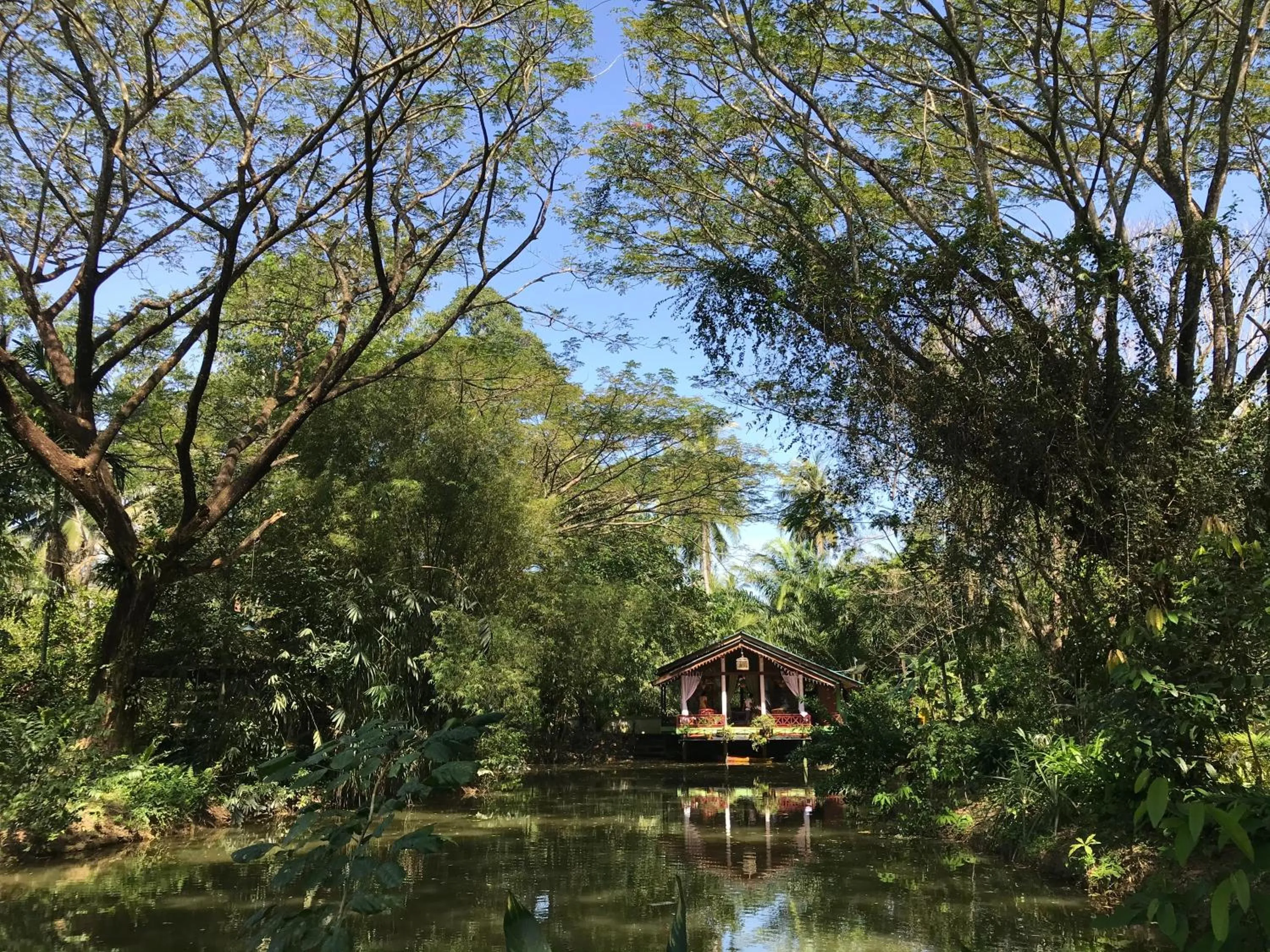 Photo of the whole room in Ekman Garden Resort