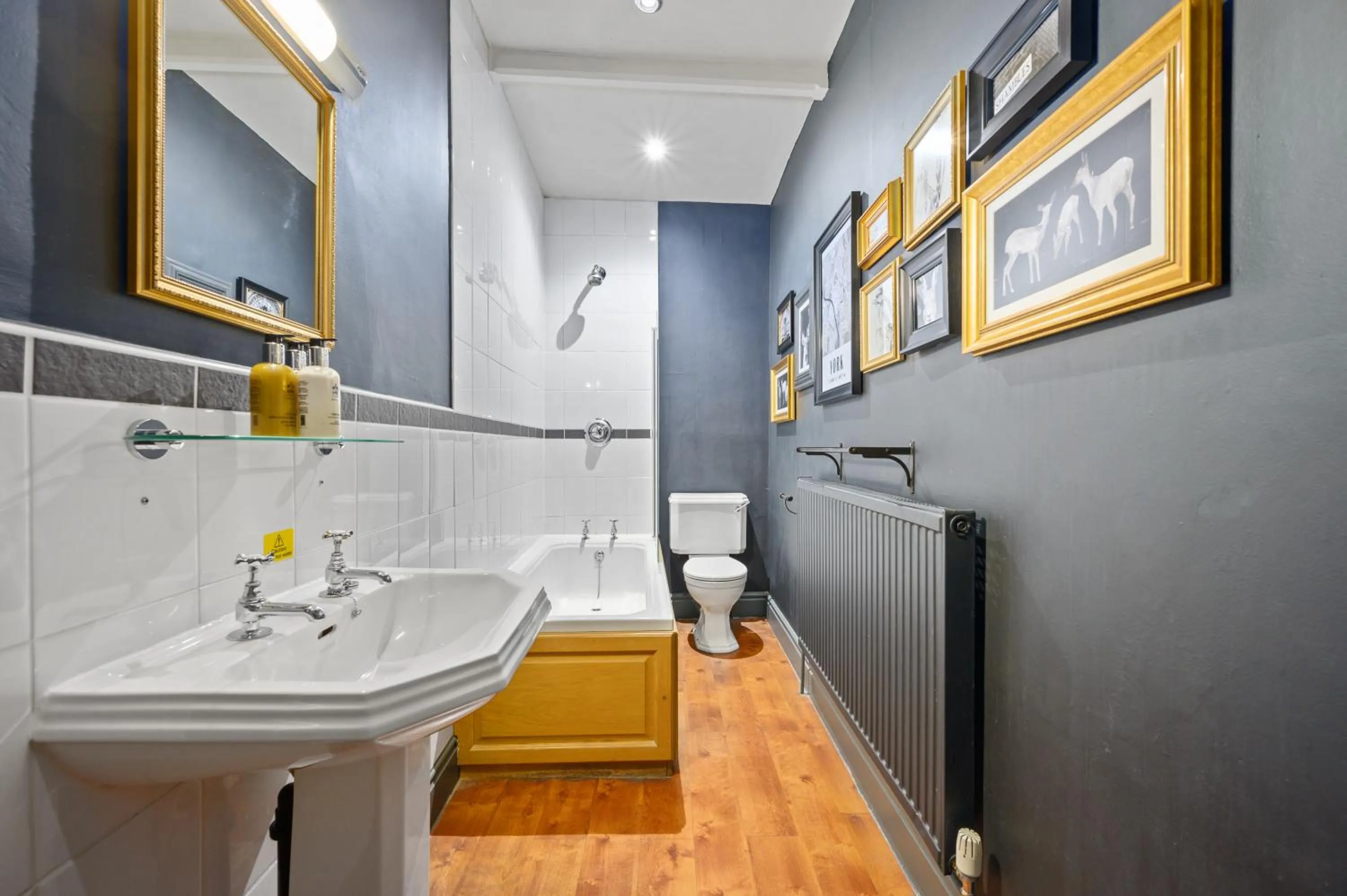 Toilet in The Fat Badger