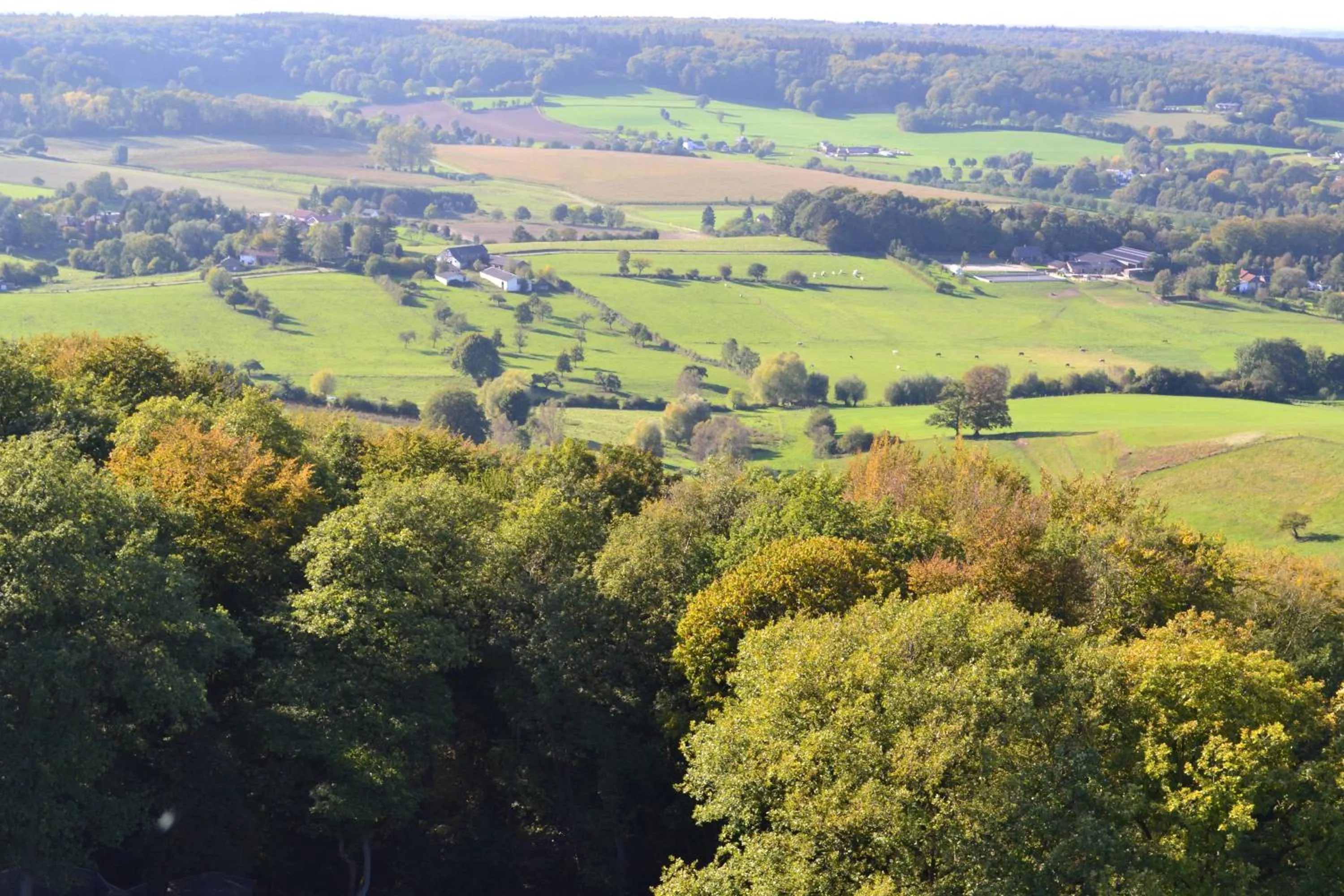 View (from property/room) in Campus Boardinghouse