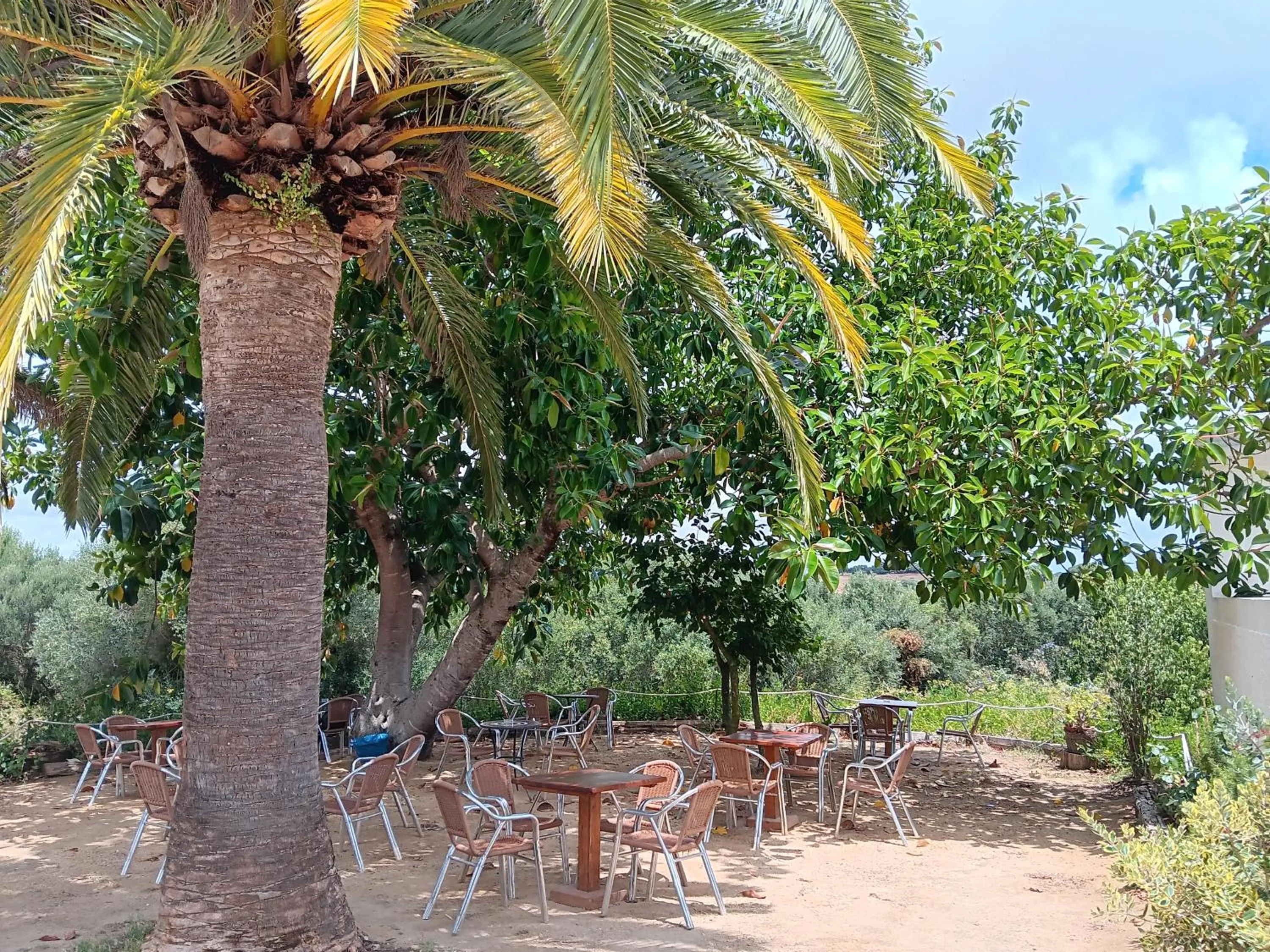 Balcony/Terrace in El Palomar de la Breña