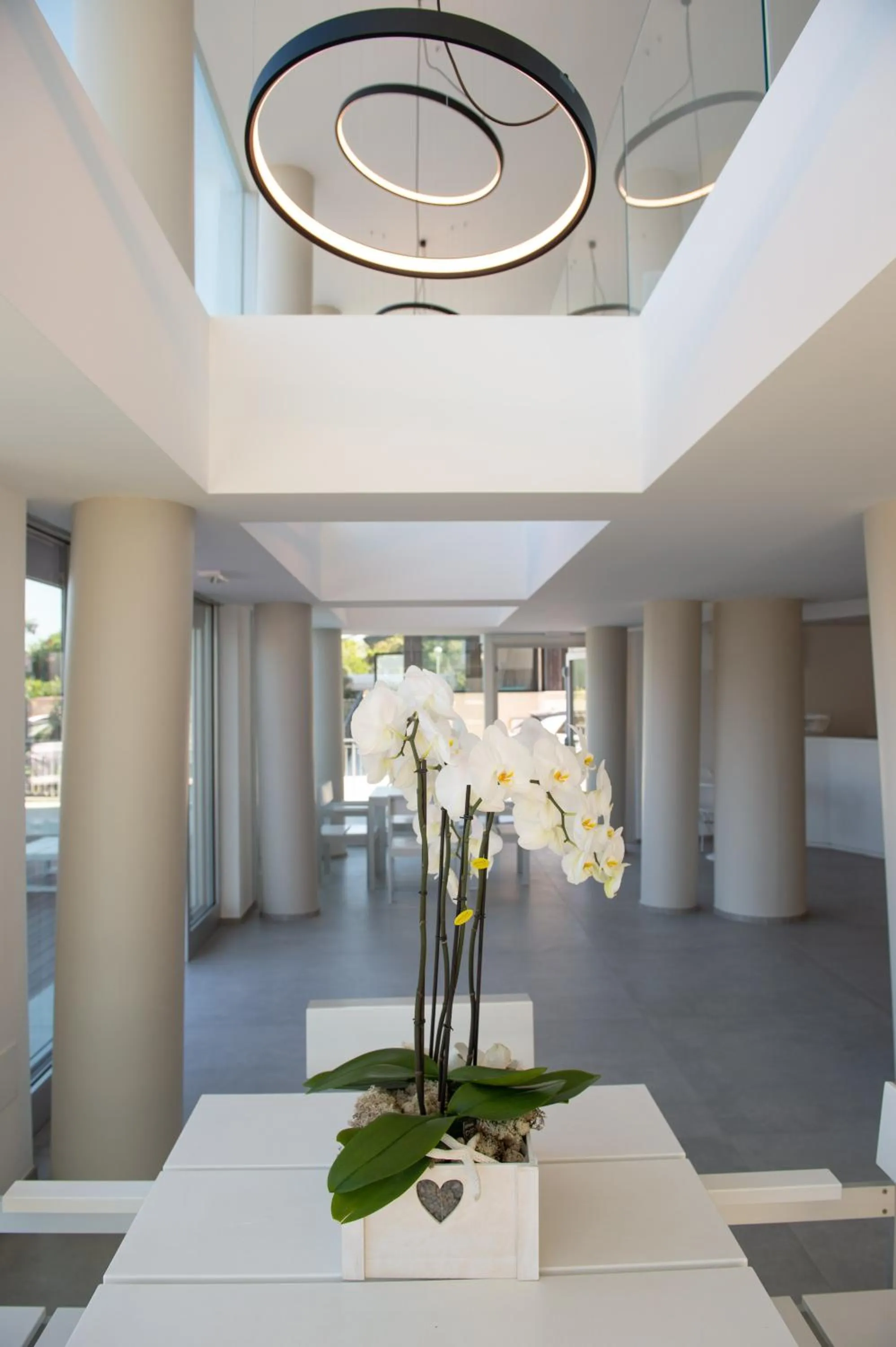 Lobby or reception in Hotel Commodore