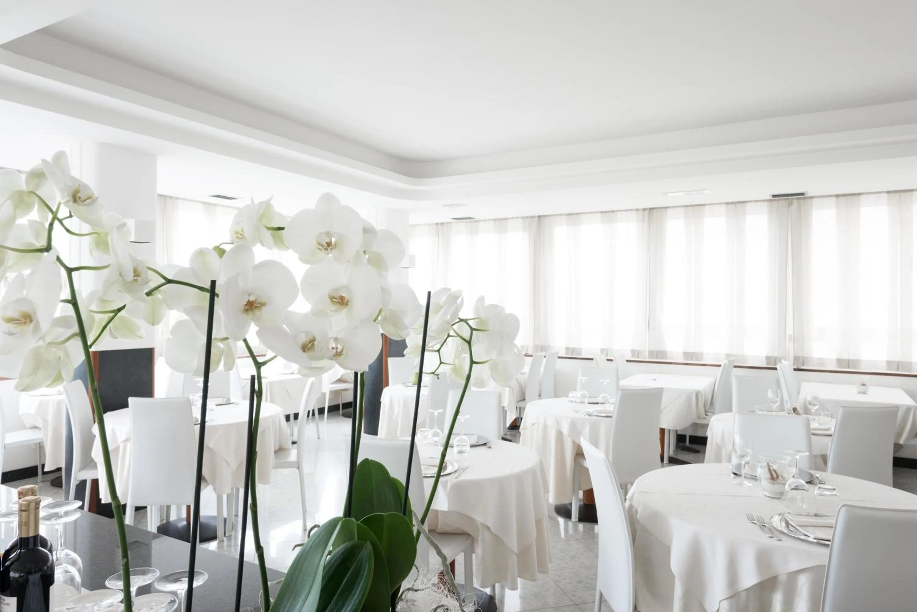 Restaurant/places to eat in Hotel Commodore