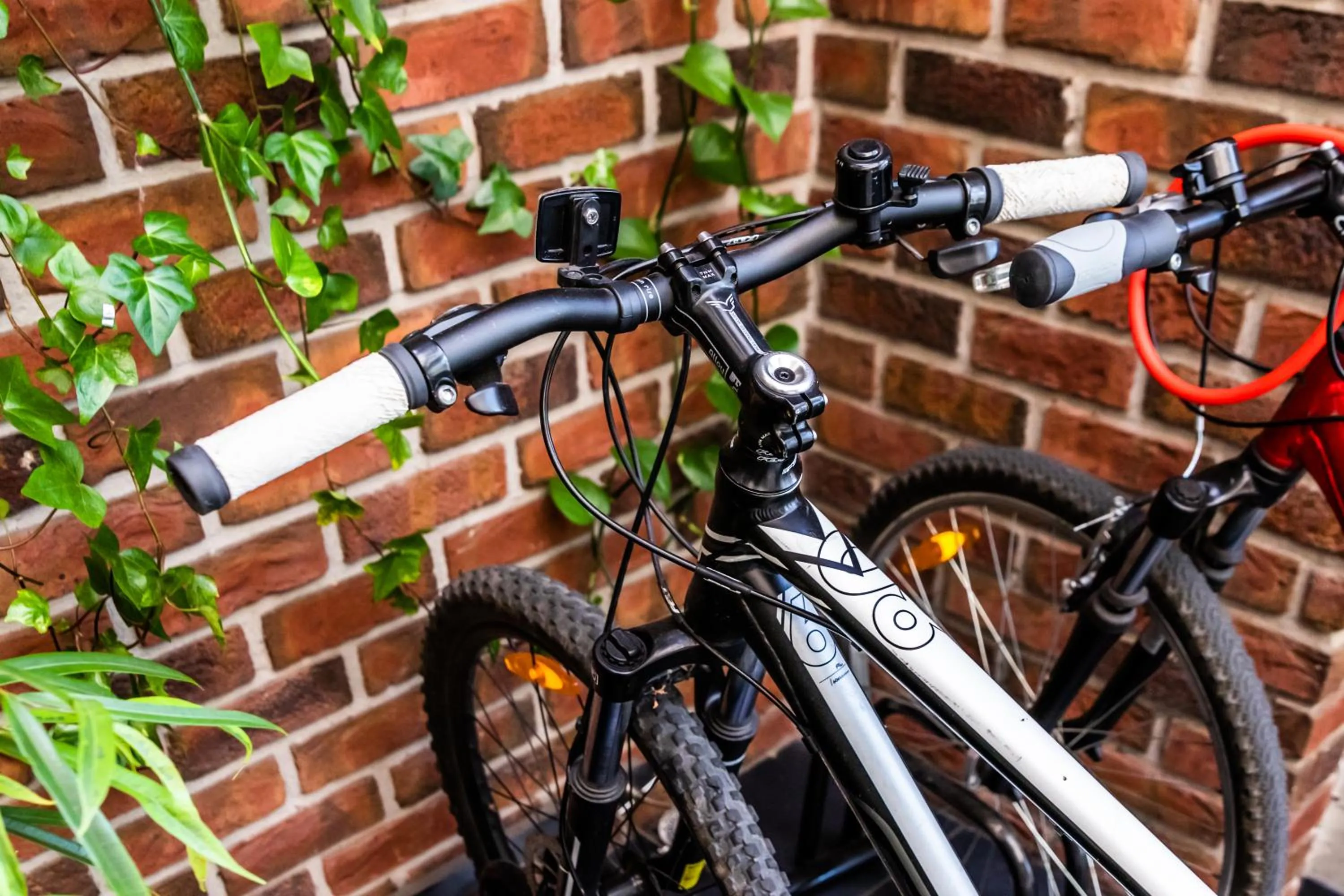 Activities in Hotel Liburnia