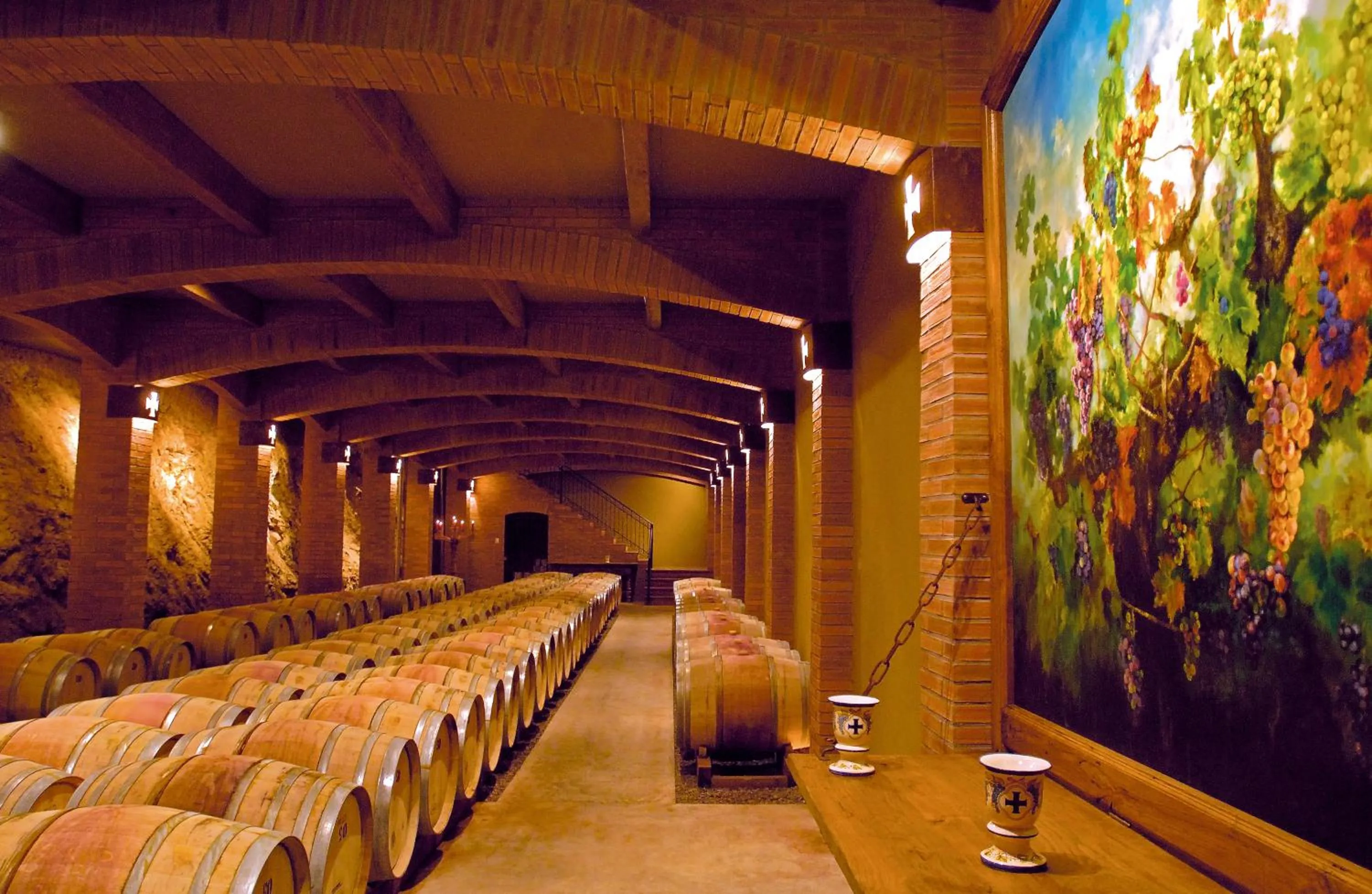 Activities in Hotel Santa Cruz Plaza