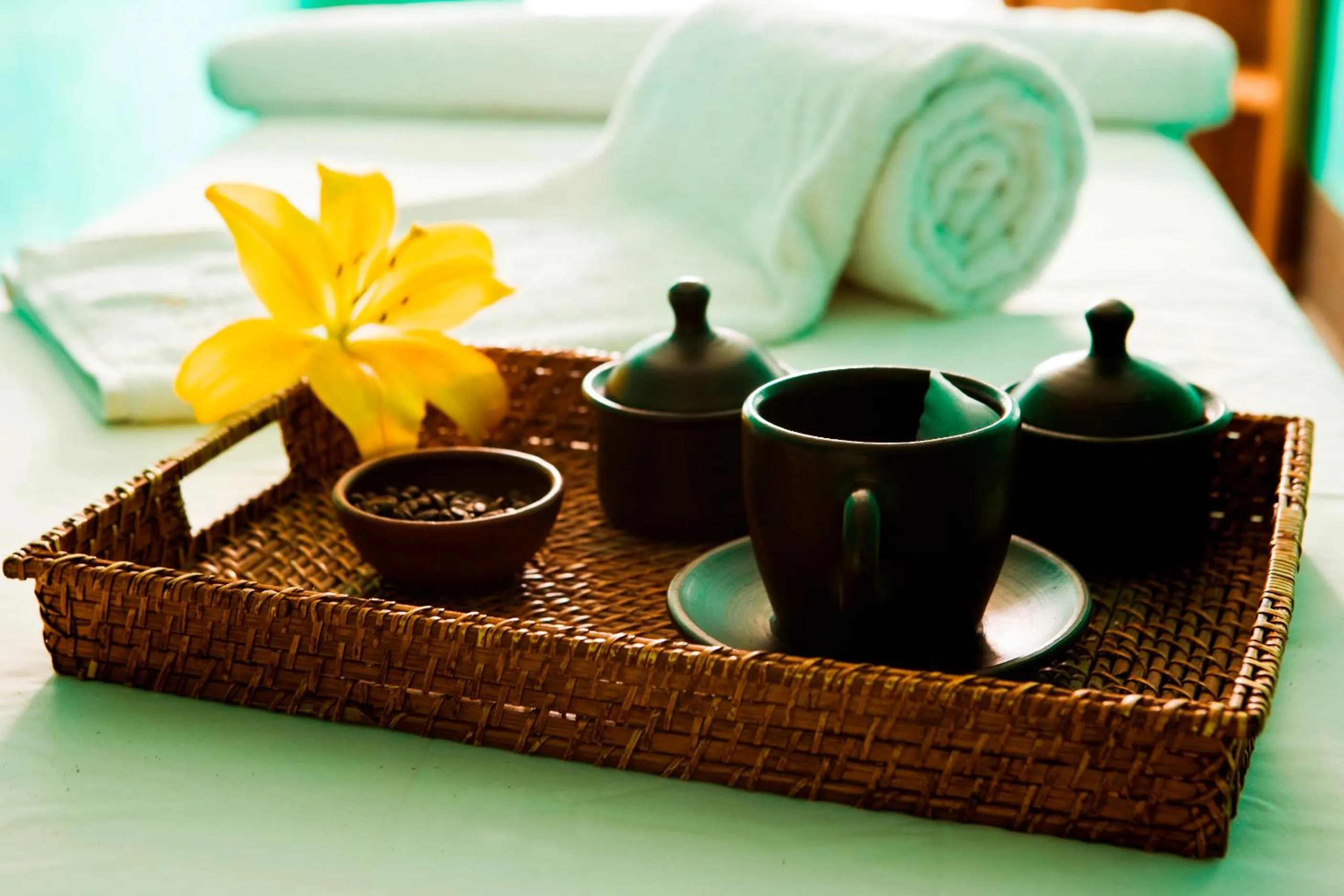 Spa and wellness centre/facilities in Hotel Santa Cruz Plaza