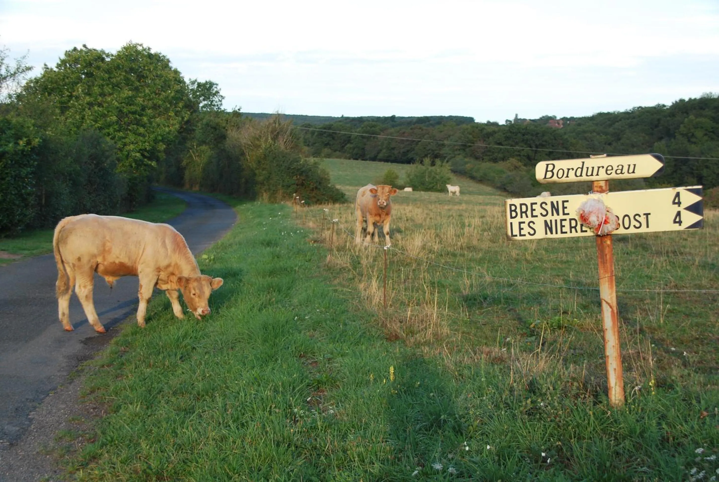Neighbourhood in Chambres d'Hôtes Maison Balady