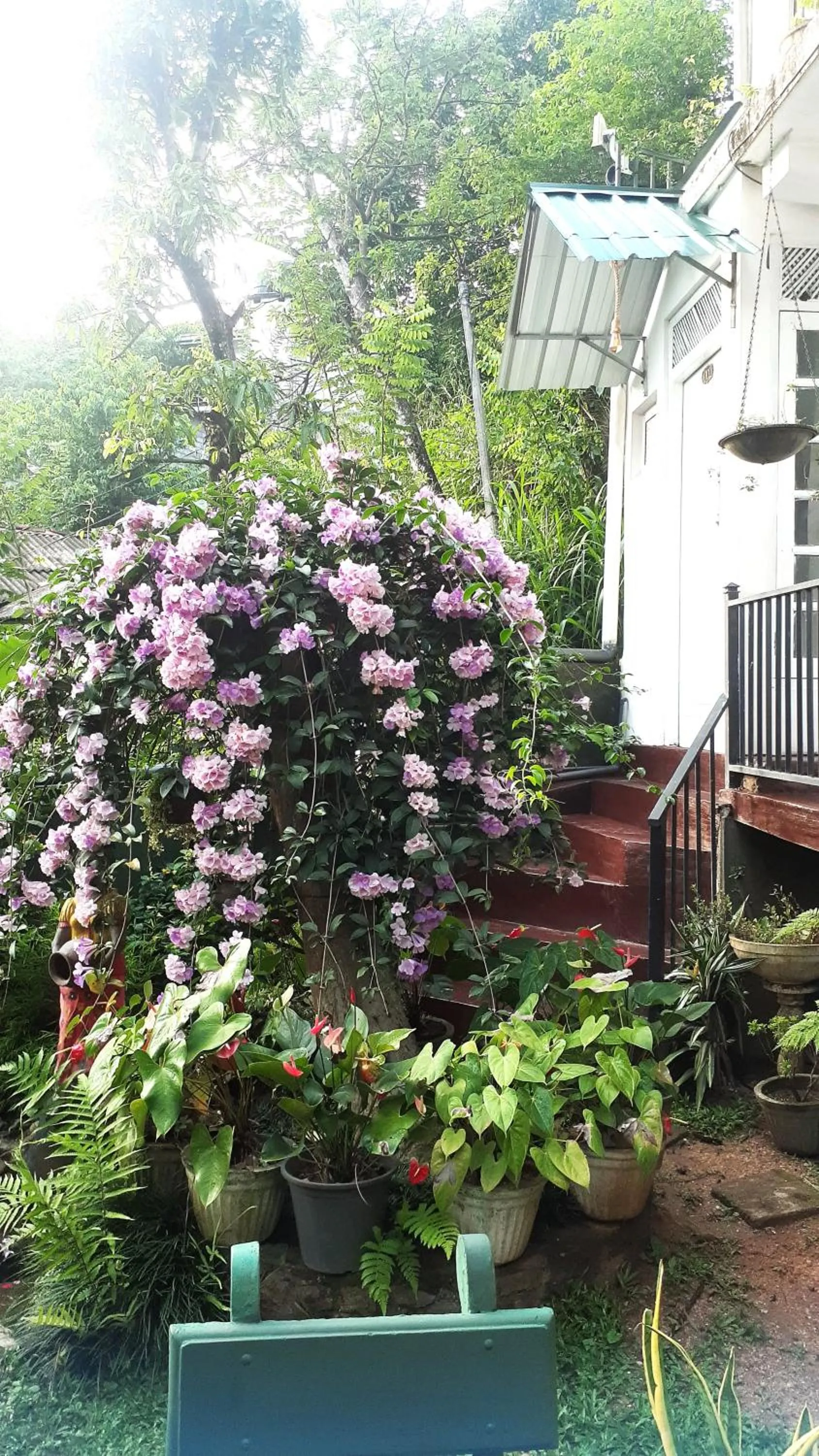 Kandy Mountain Cottage