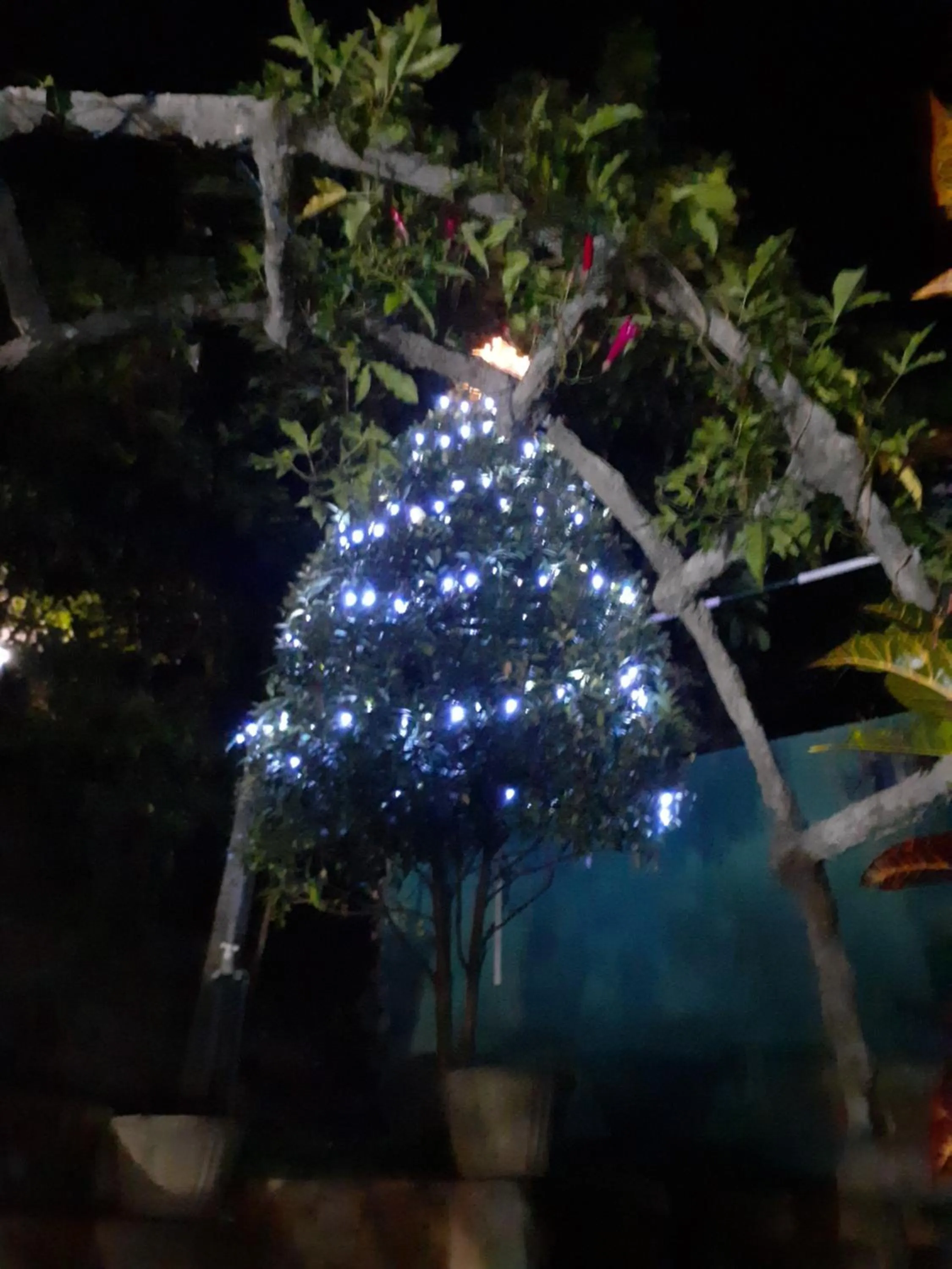 Kandy Mountain Cottage