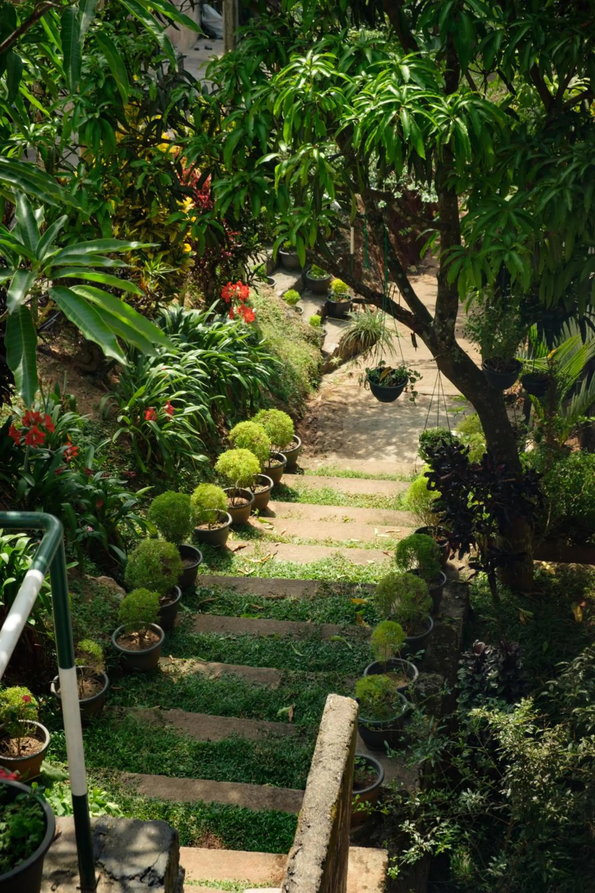 Kandy Mountain Cottage