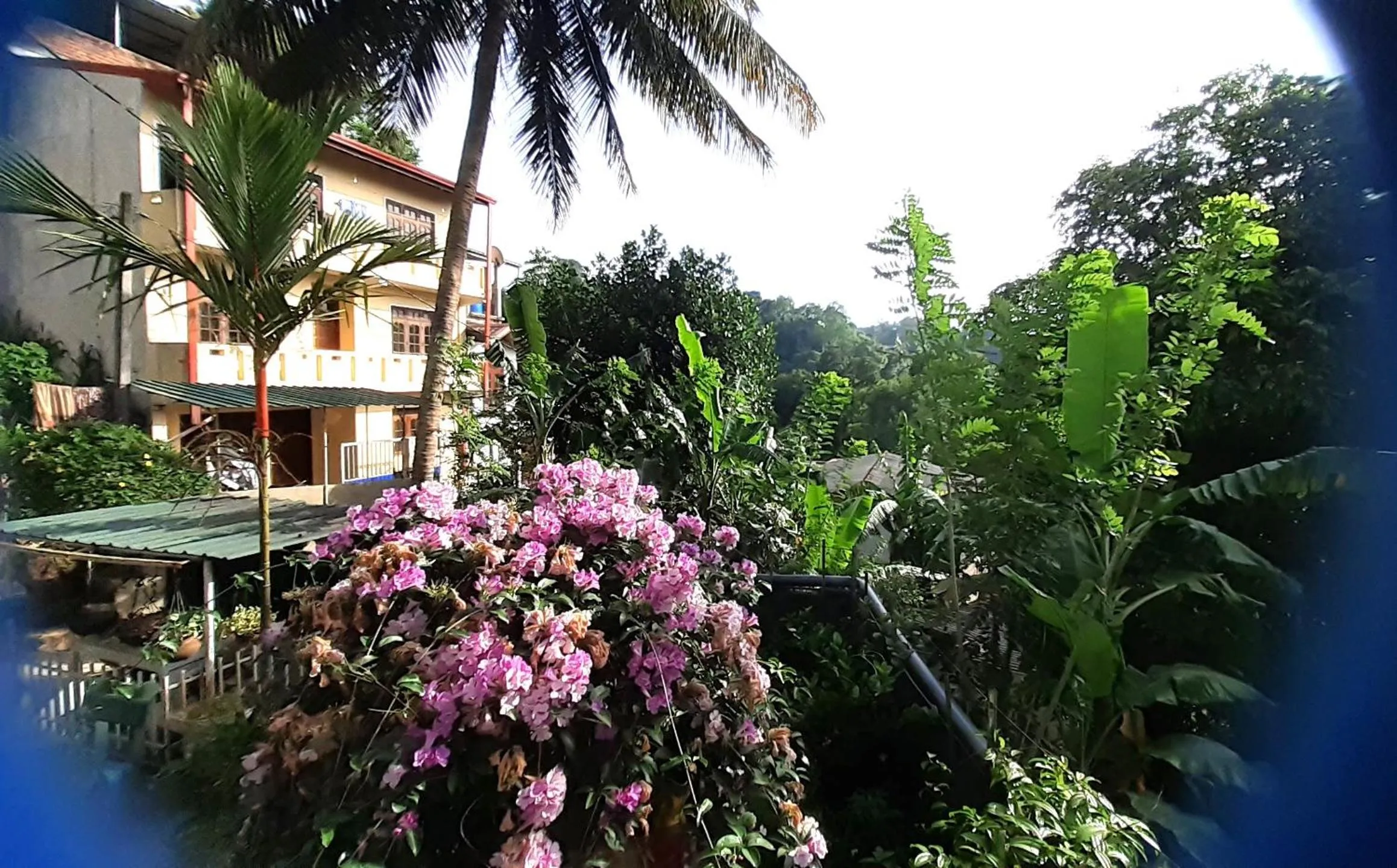 Kandy Mountain Cottage