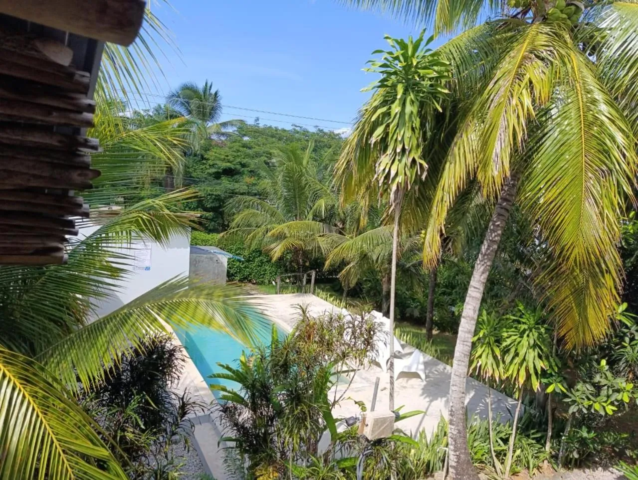 Pool view in Residencia El Balatà