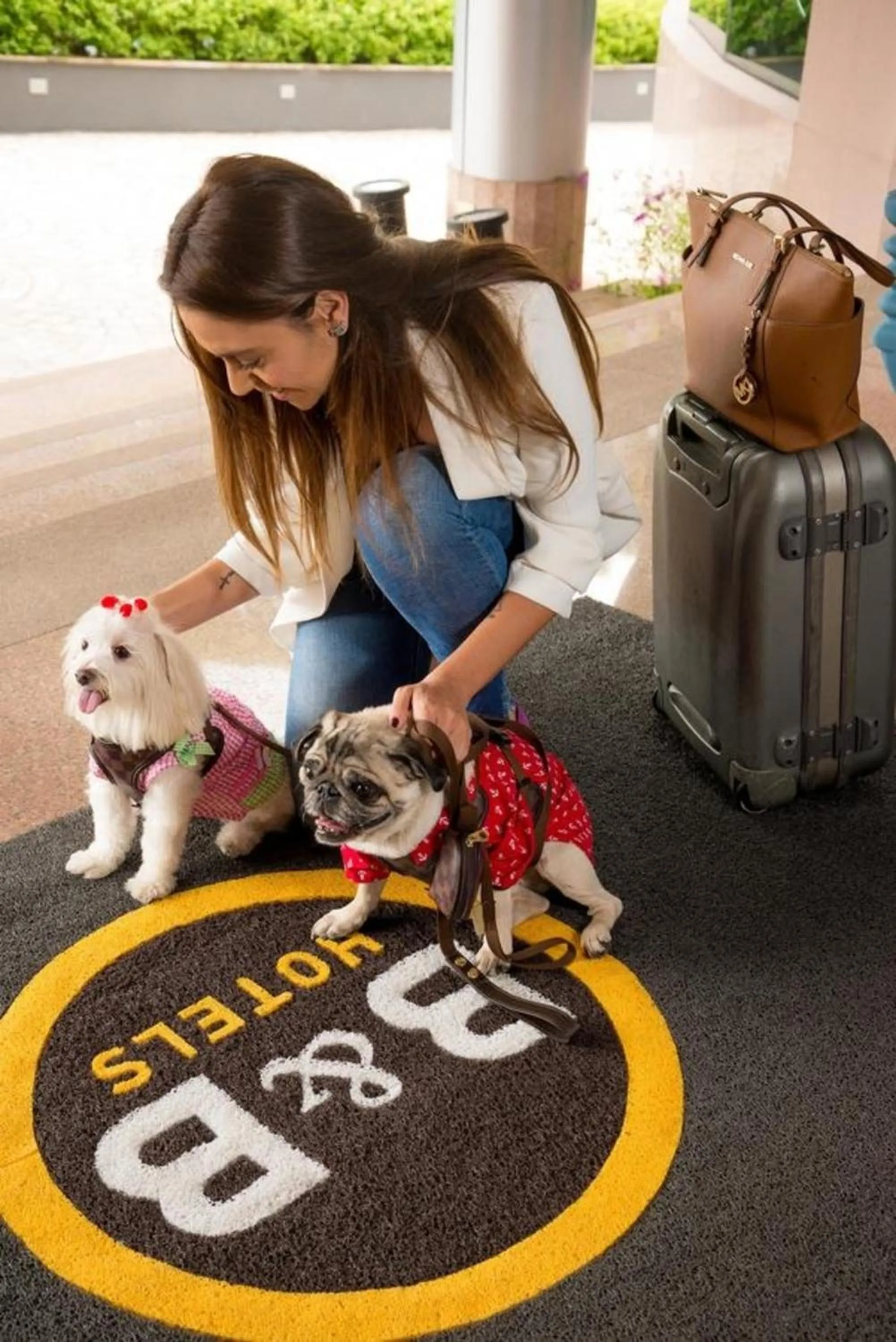Pets in B&B HOTEL São José dos Campos
