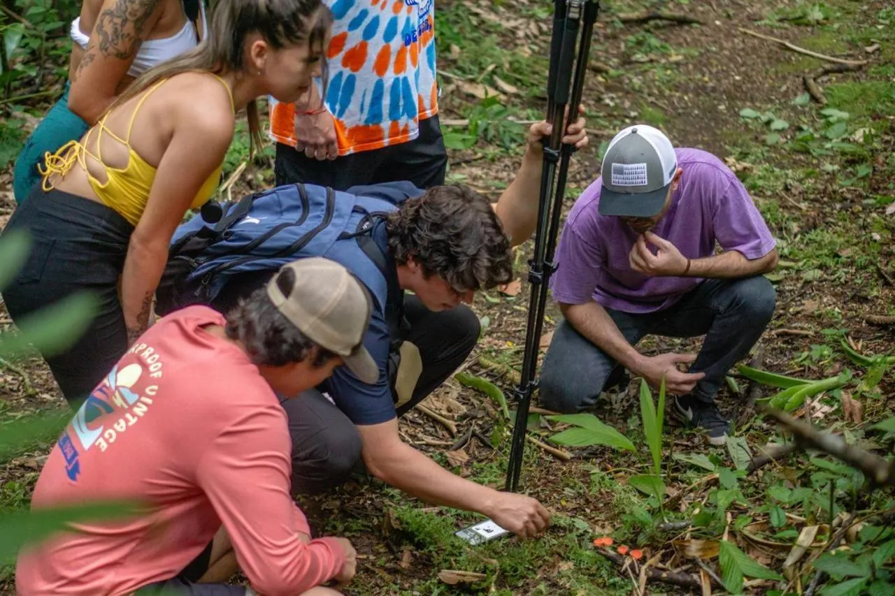 Hiking in Yellow Tree Suites