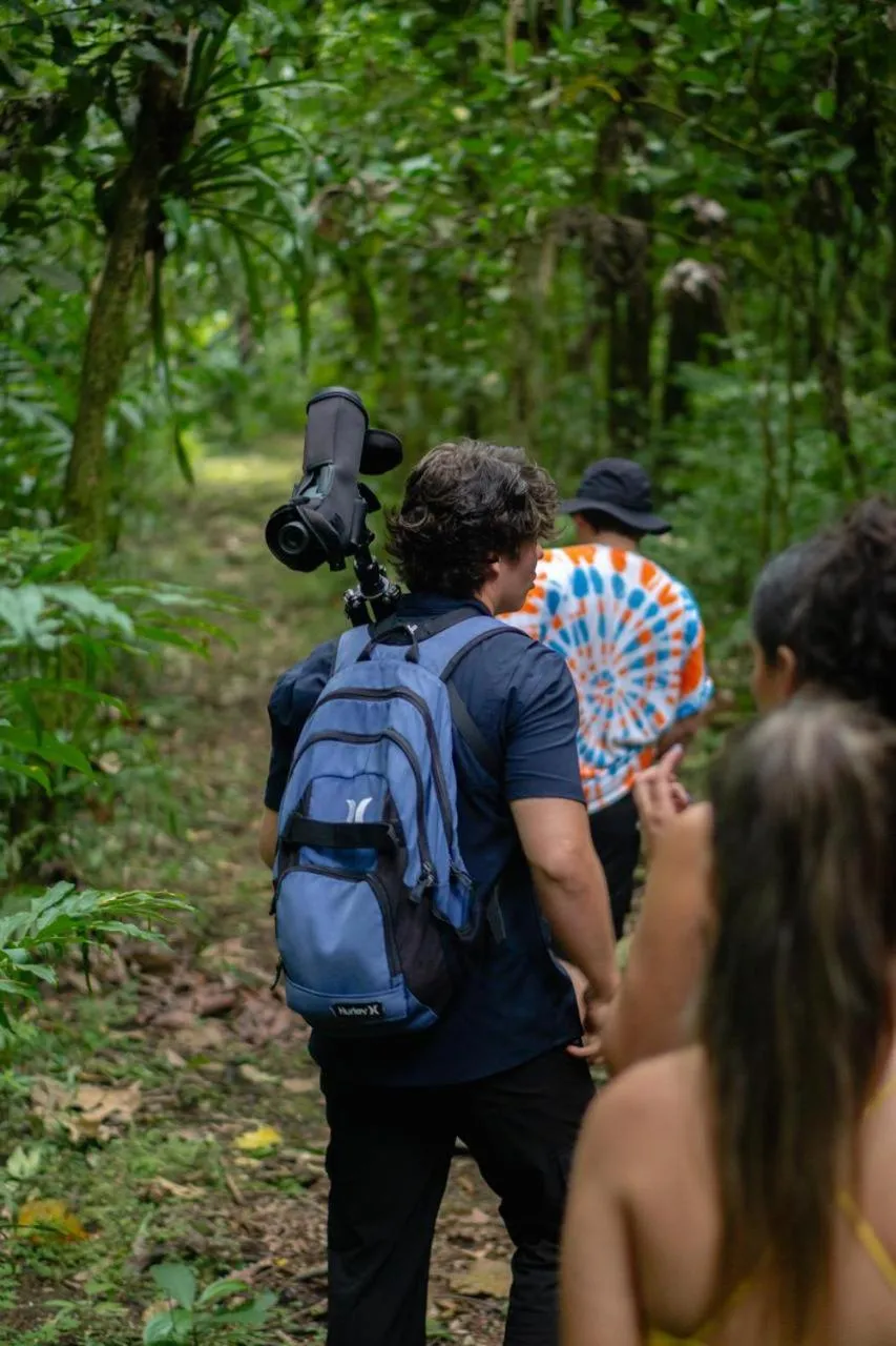 Natural landscape in Yellow Tree Suites