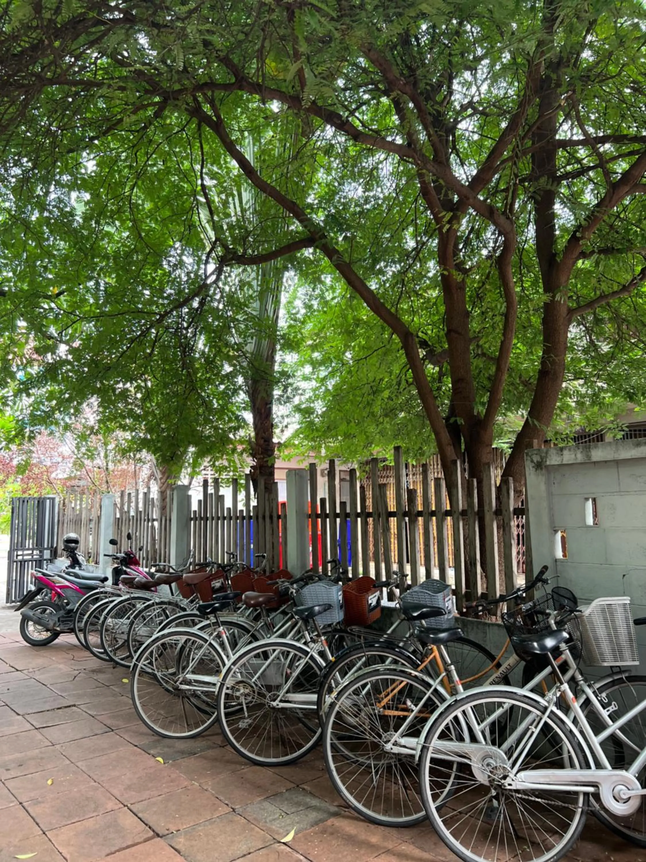 Day in Niwas Ayutthaya