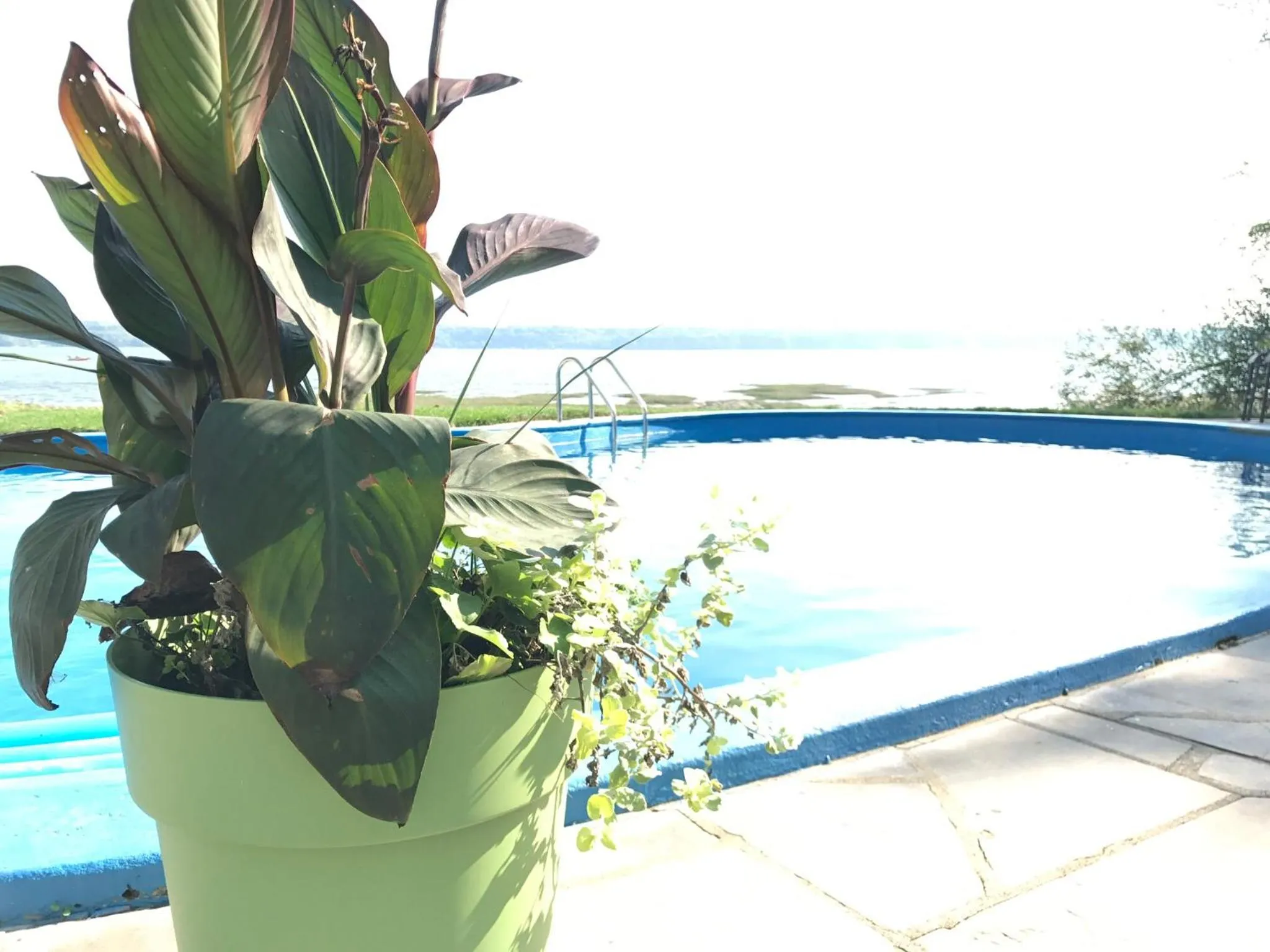 Garden in Villa by the Water 23 beds 9 baths Pool billard Hot Tub 15 min Old Quebec