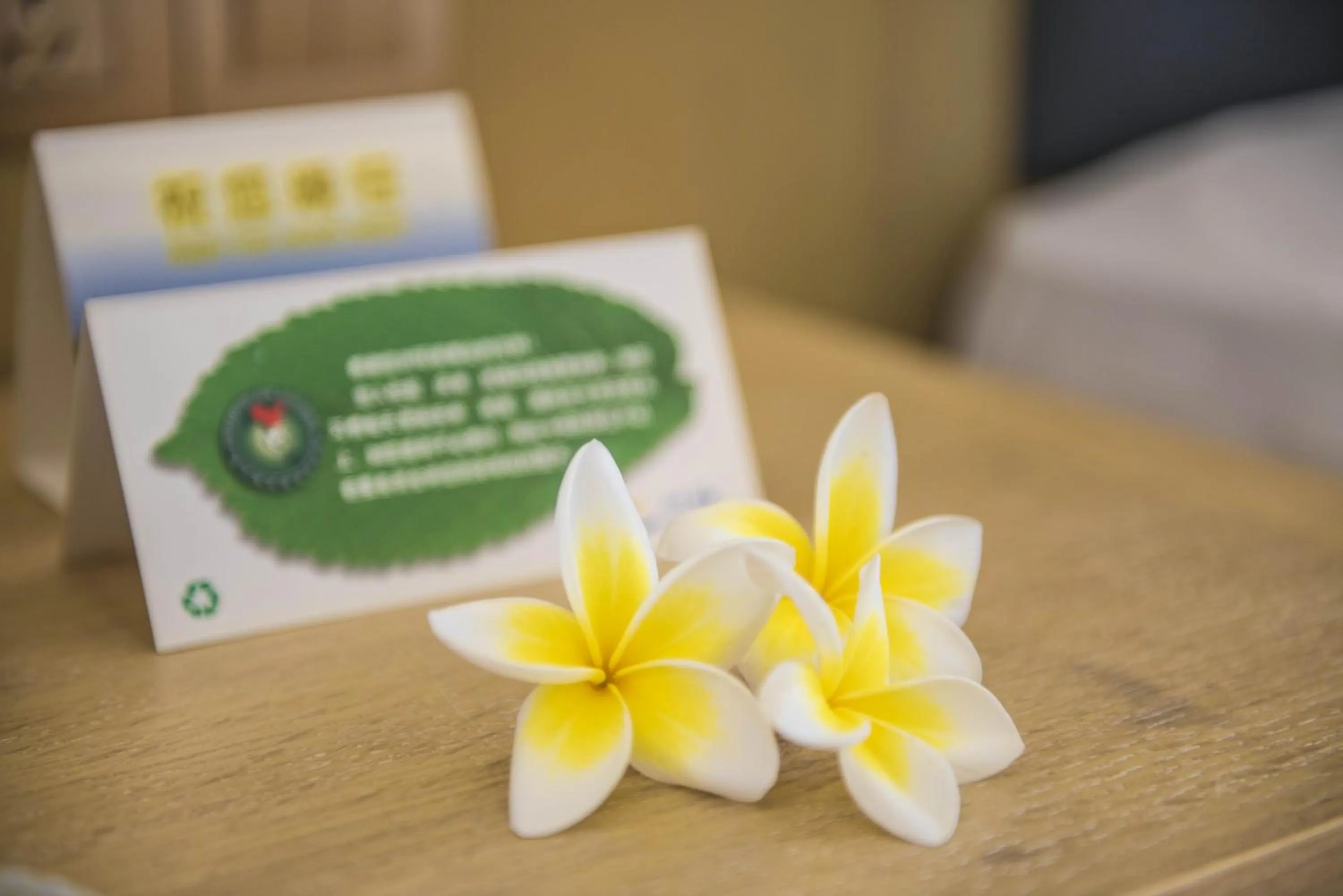 Text overlay in Tianze Beach Resort