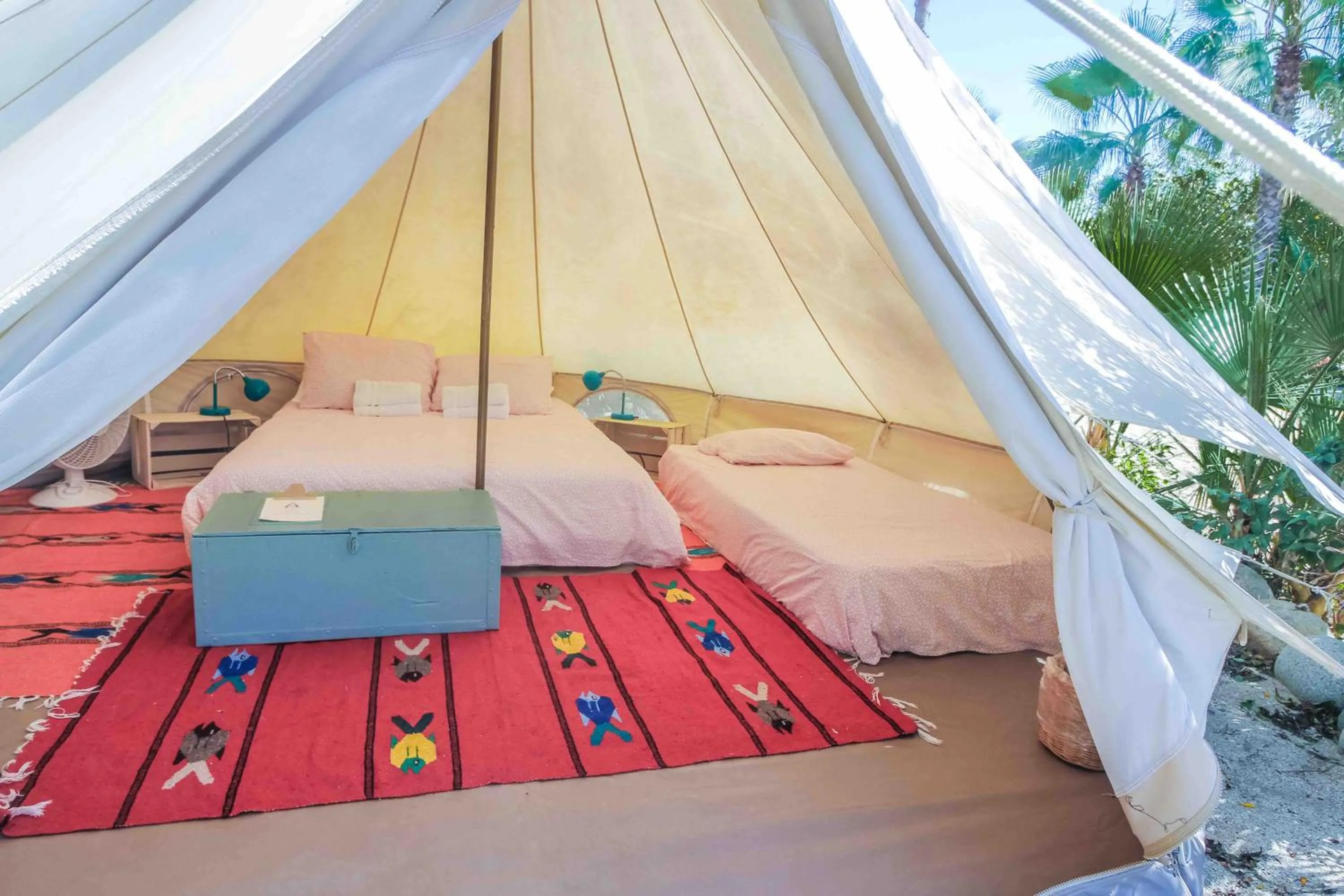 Bed in Todos Santos Hostel super fast and stable satellite wifi