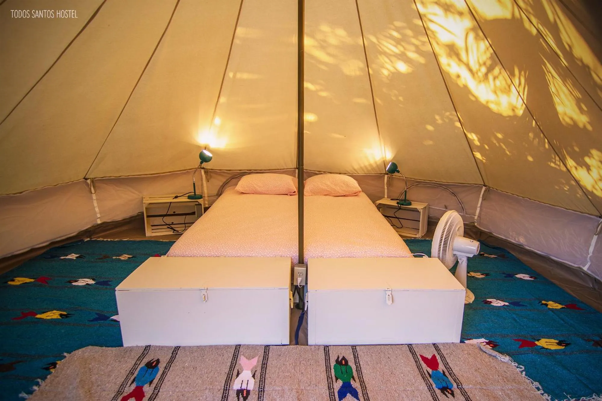 Bed in Todos Santos Hostel super fast and stable satellite wifi