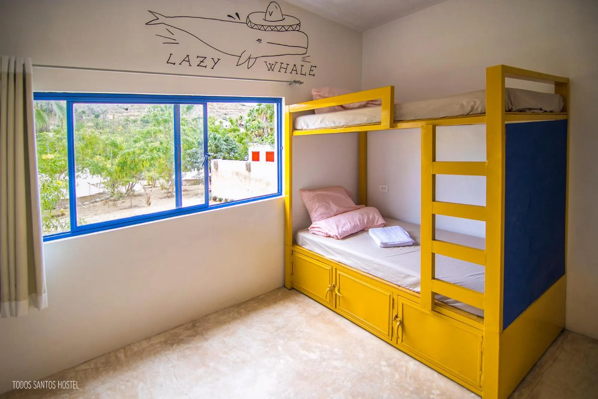 Bed in Todos Santos Hostel super fast and stable satellite wifi