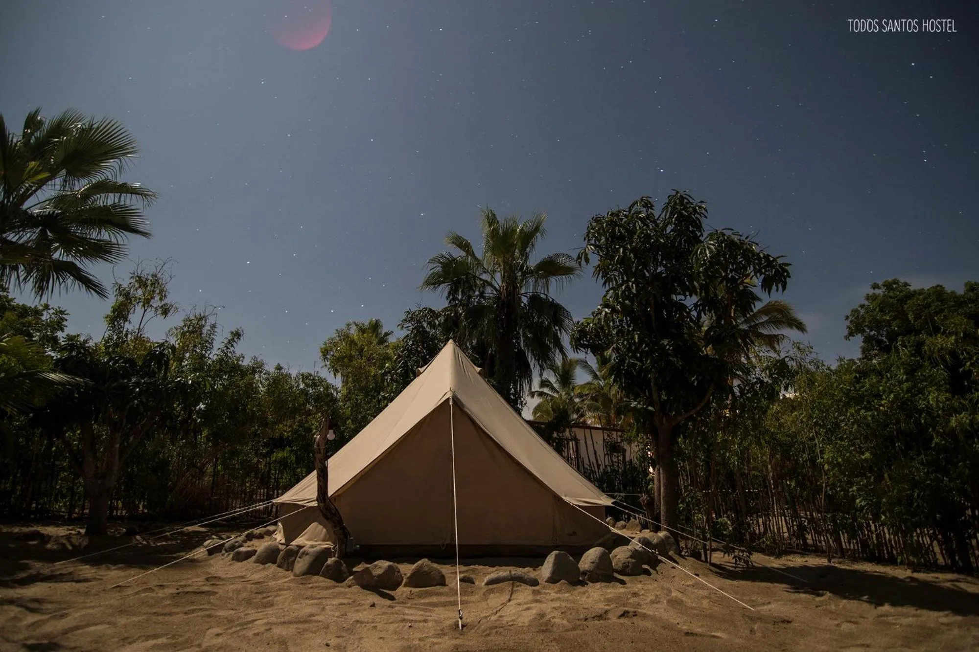 Todos Santos Hostel super fast and stable satellite wifi