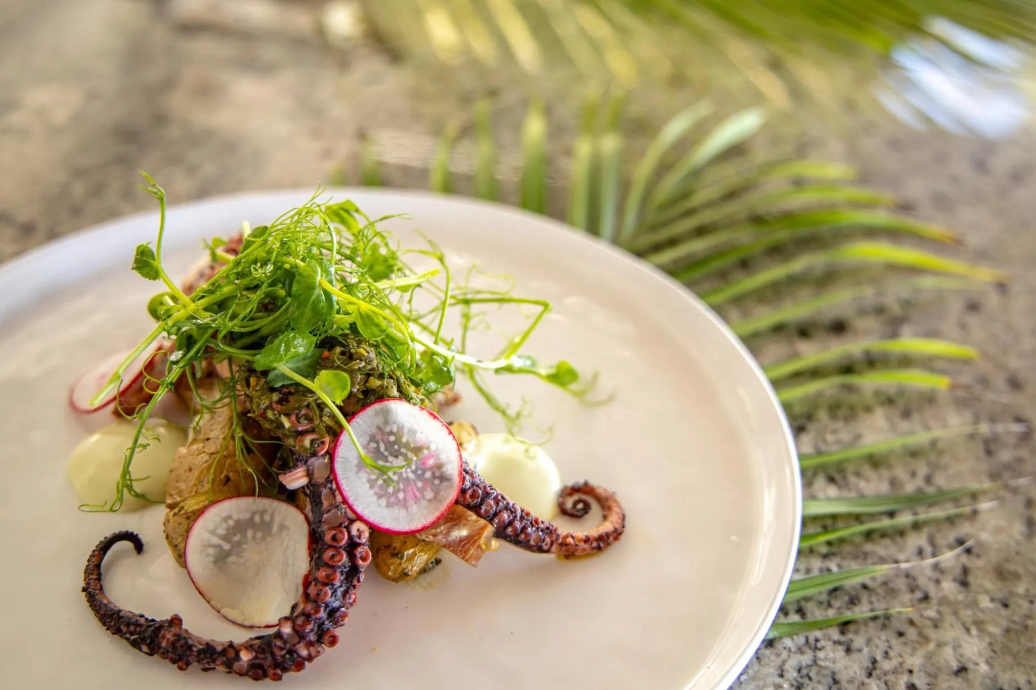 Restaurant/places to eat in Kimpton Vero Beach Hotel & Spa by IHG