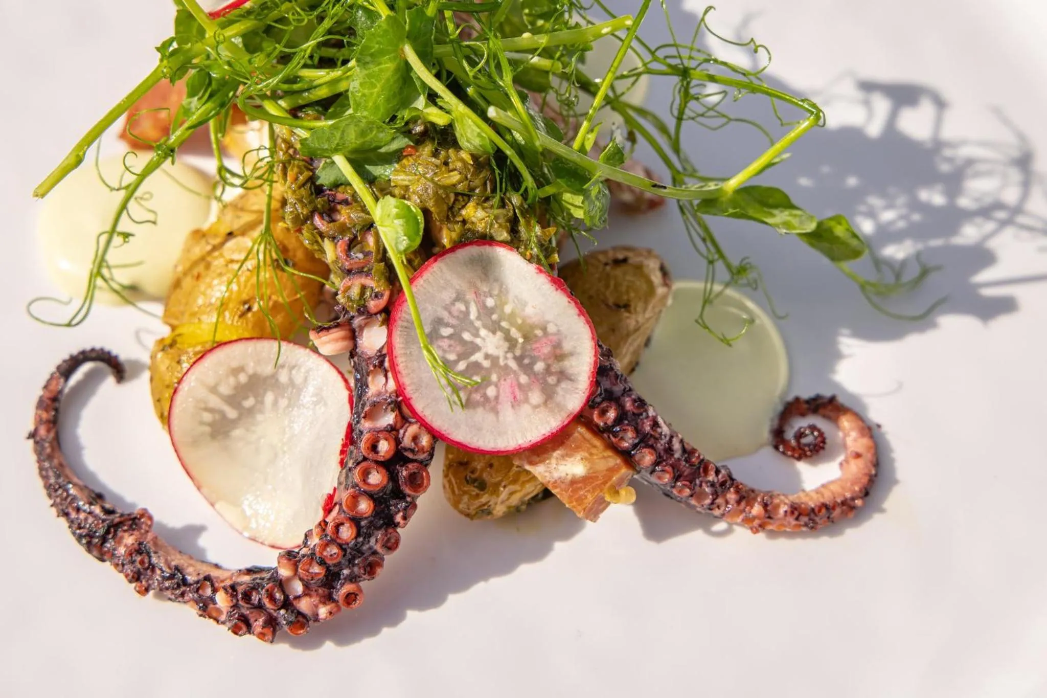 Restaurant/places to eat in Kimpton Vero Beach Hotel & Spa by IHG