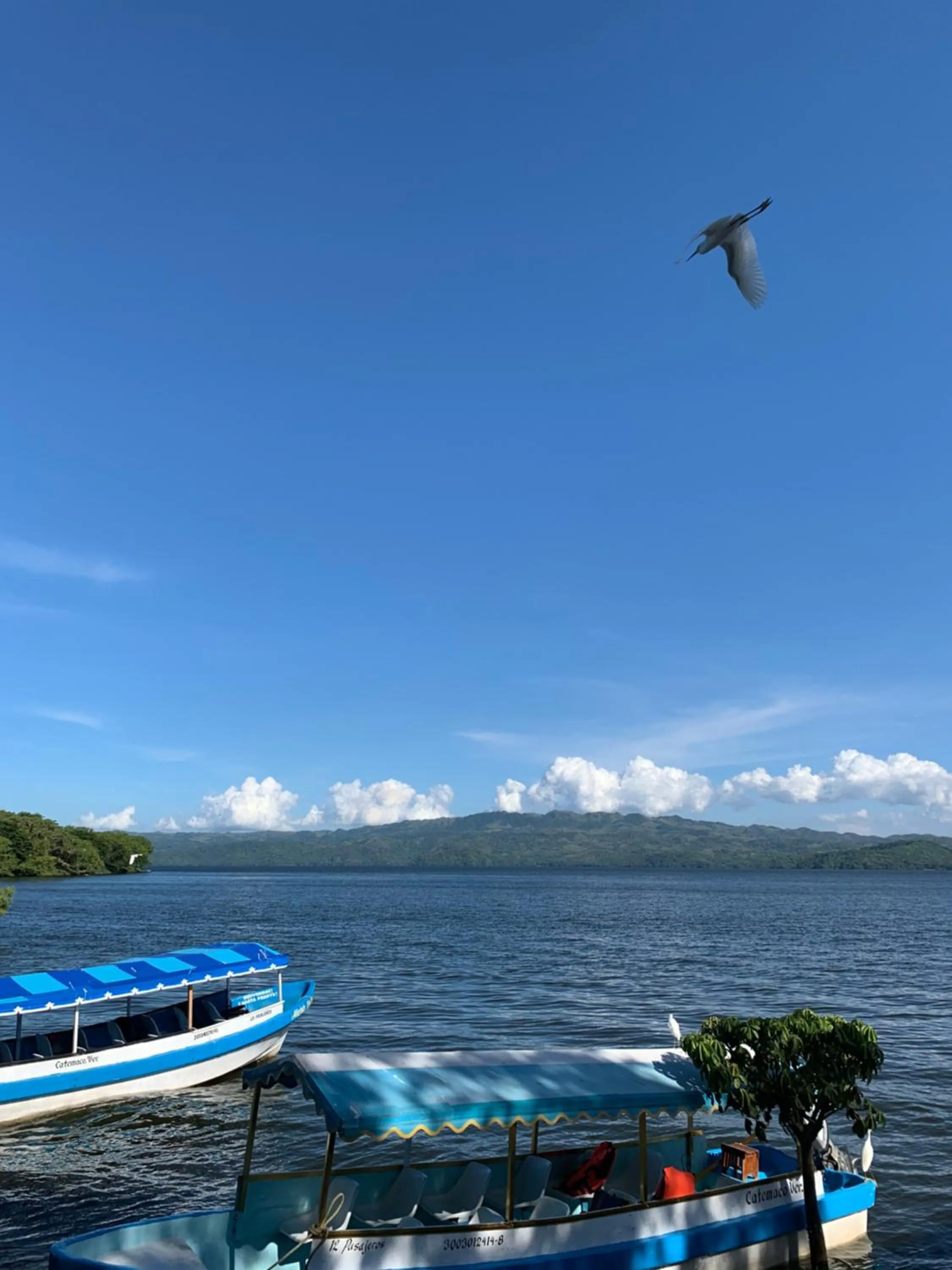 Sea view in Hotel Las Brisas