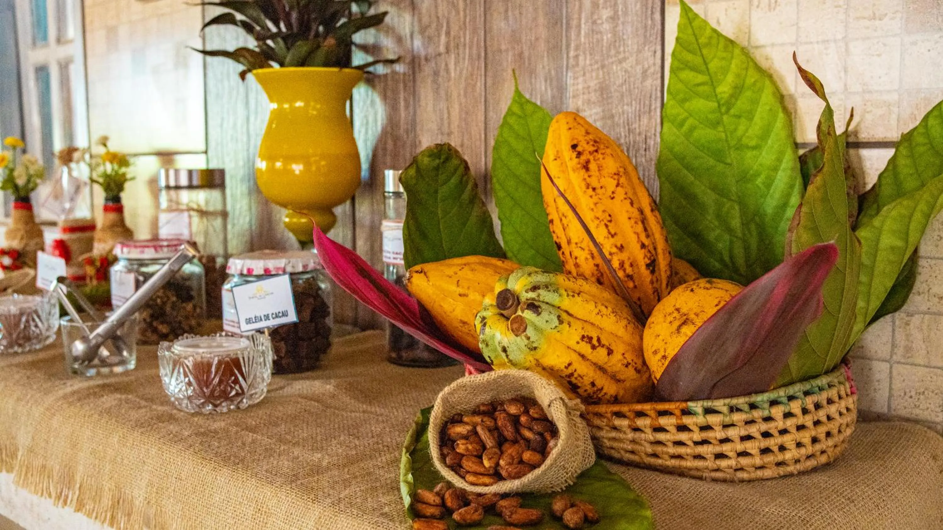 Restaurant/places to eat in Pousada Portal da Concha