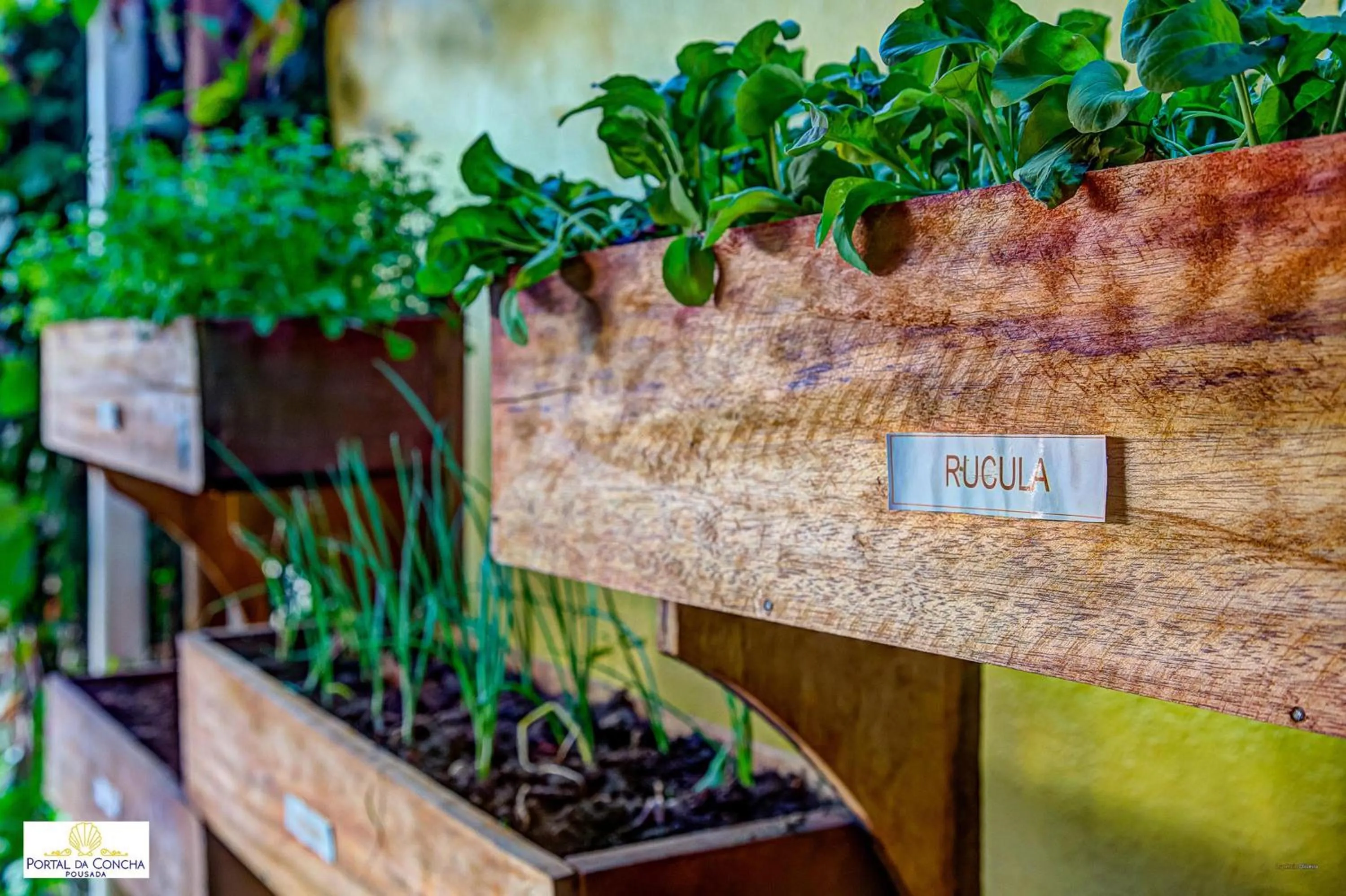 Garden in Pousada Portal da Concha