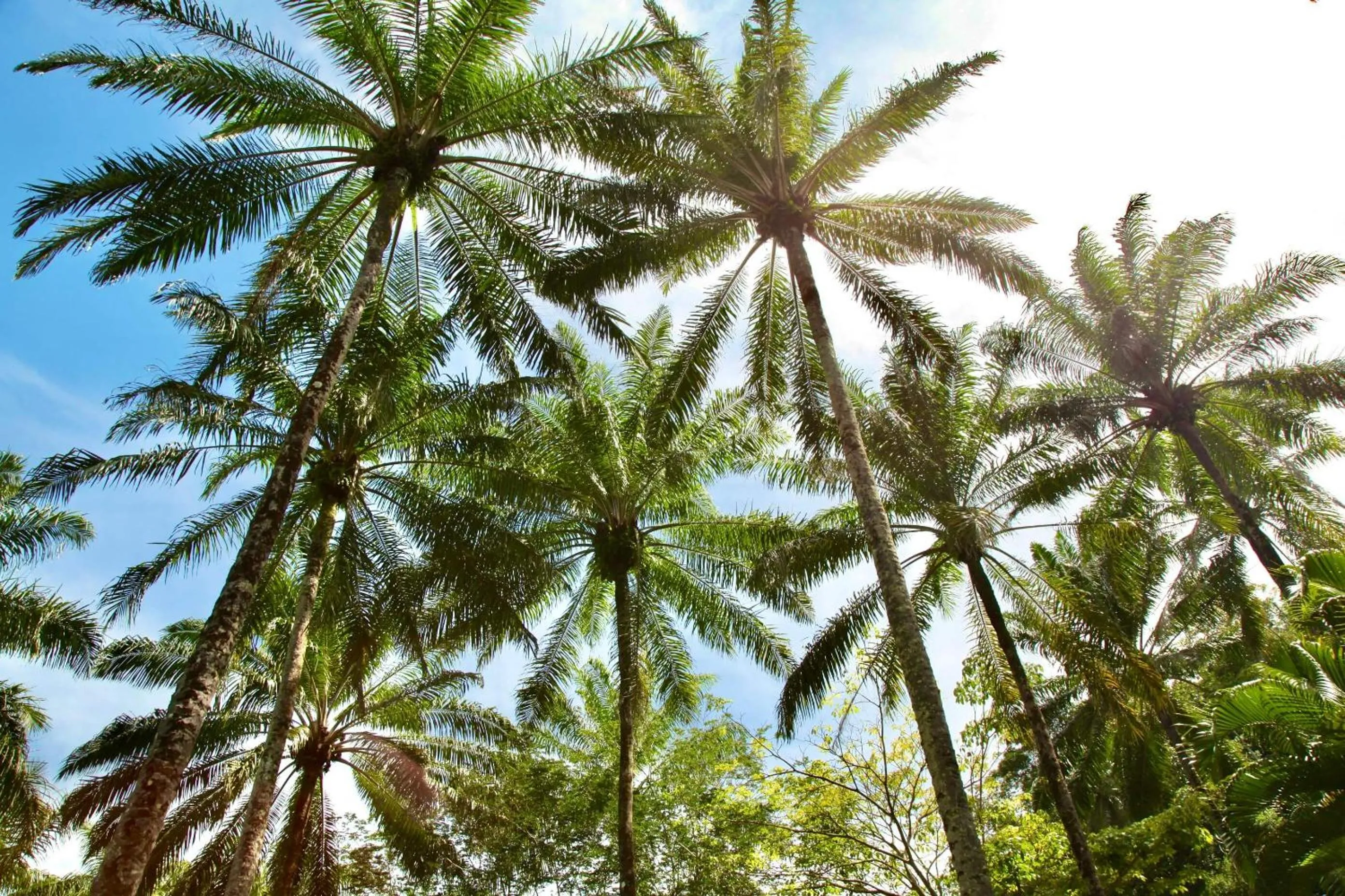 Day in Aldeia do Mar Sensorial Hotel