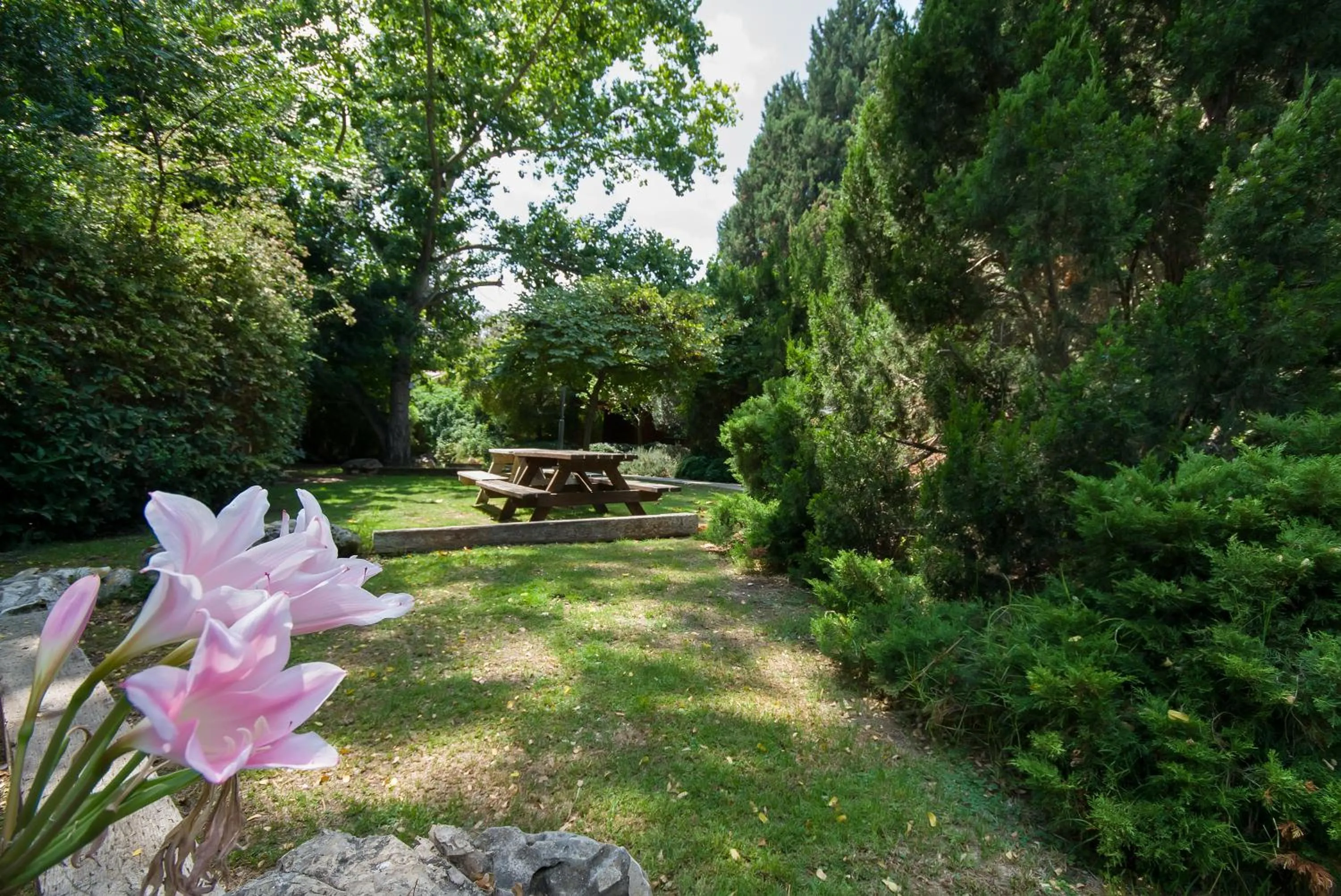 Garden in Zohar Badeshe