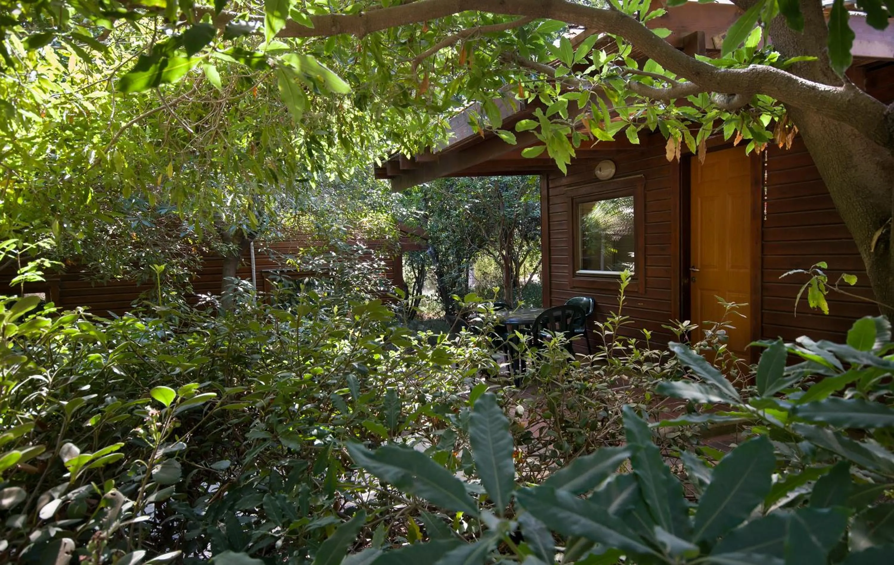 Facade/entrance in Zohar Badeshe