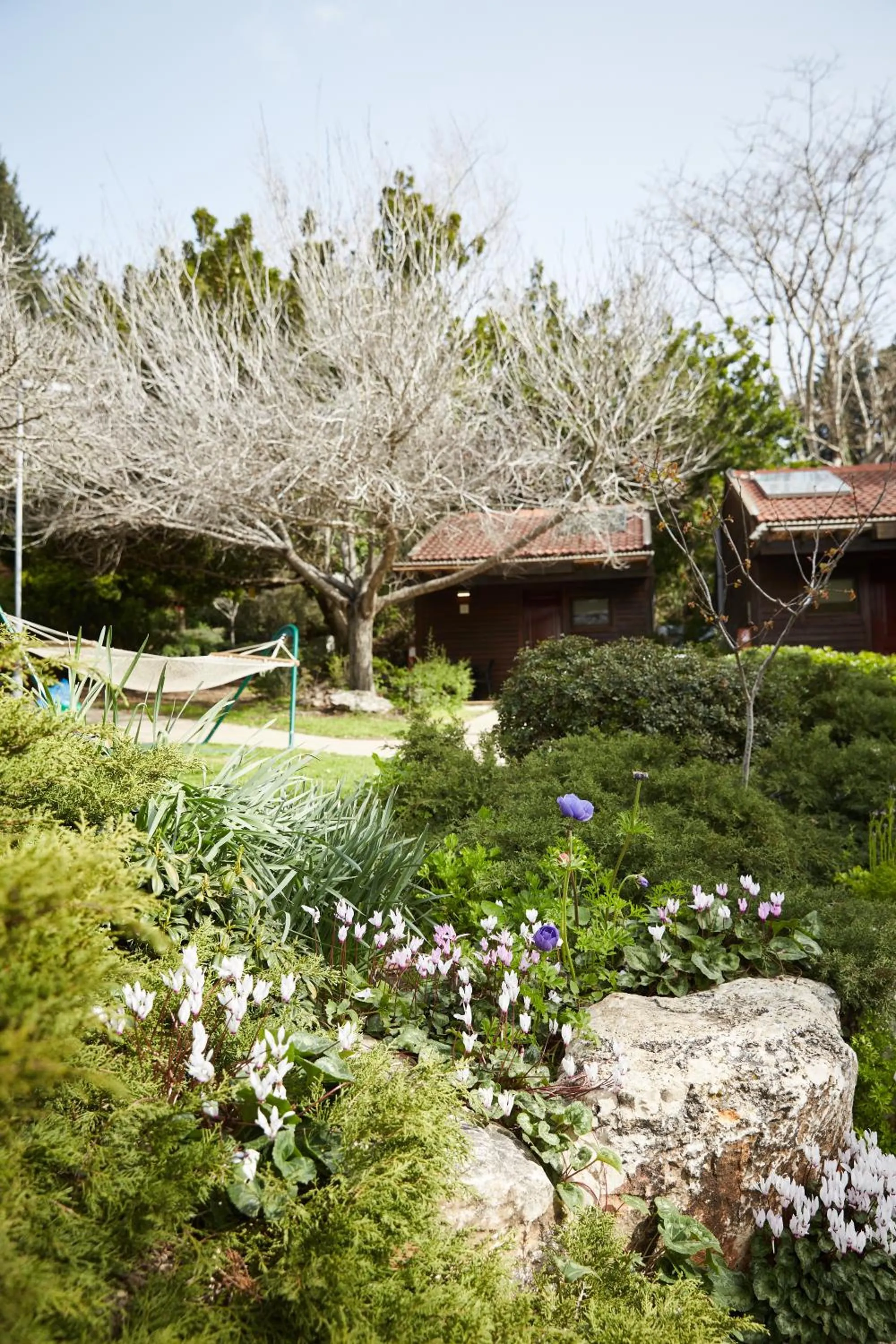 Natural landscape in Zohar Badeshe