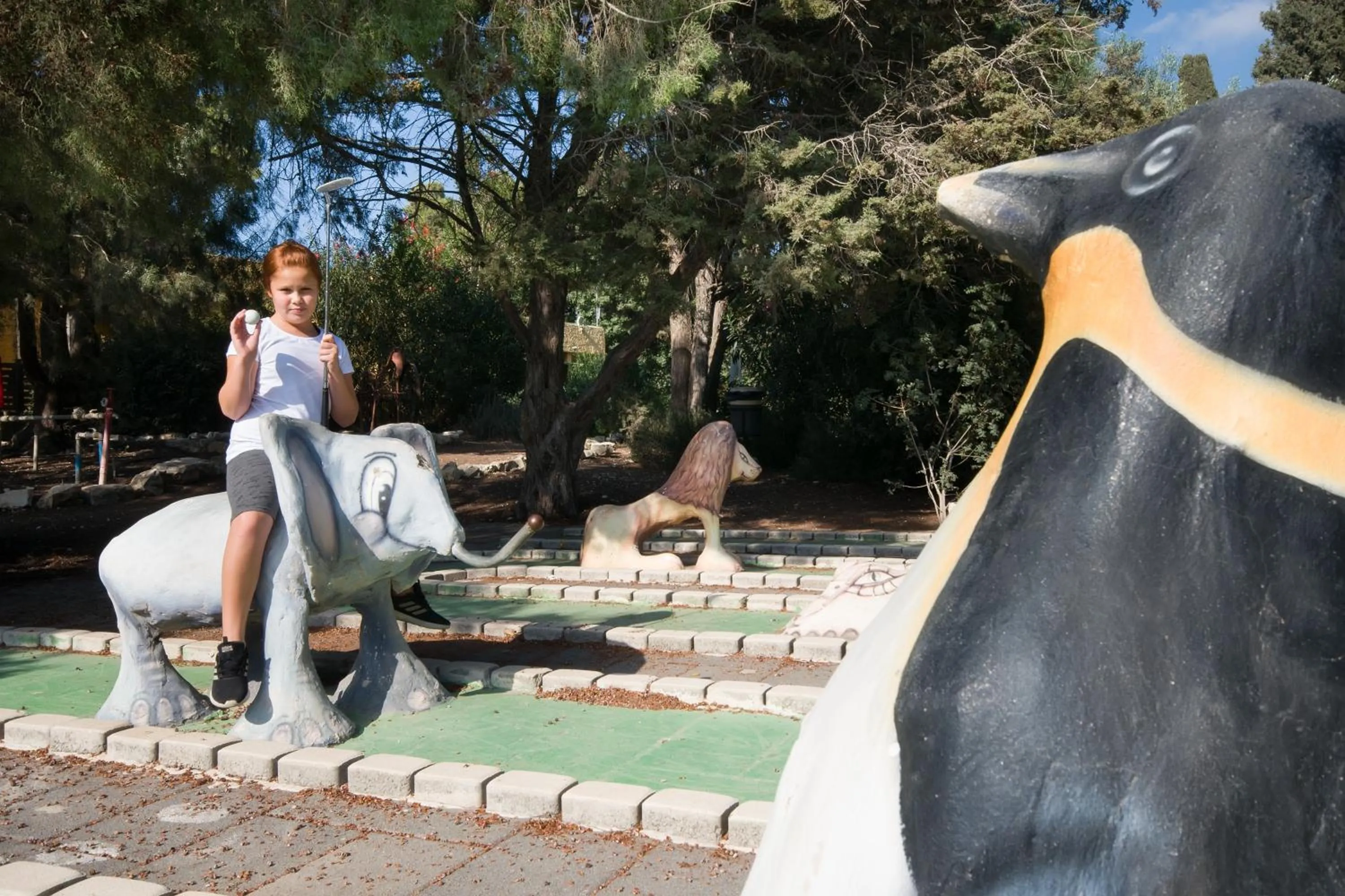 Minigolf in Zohar Badeshe