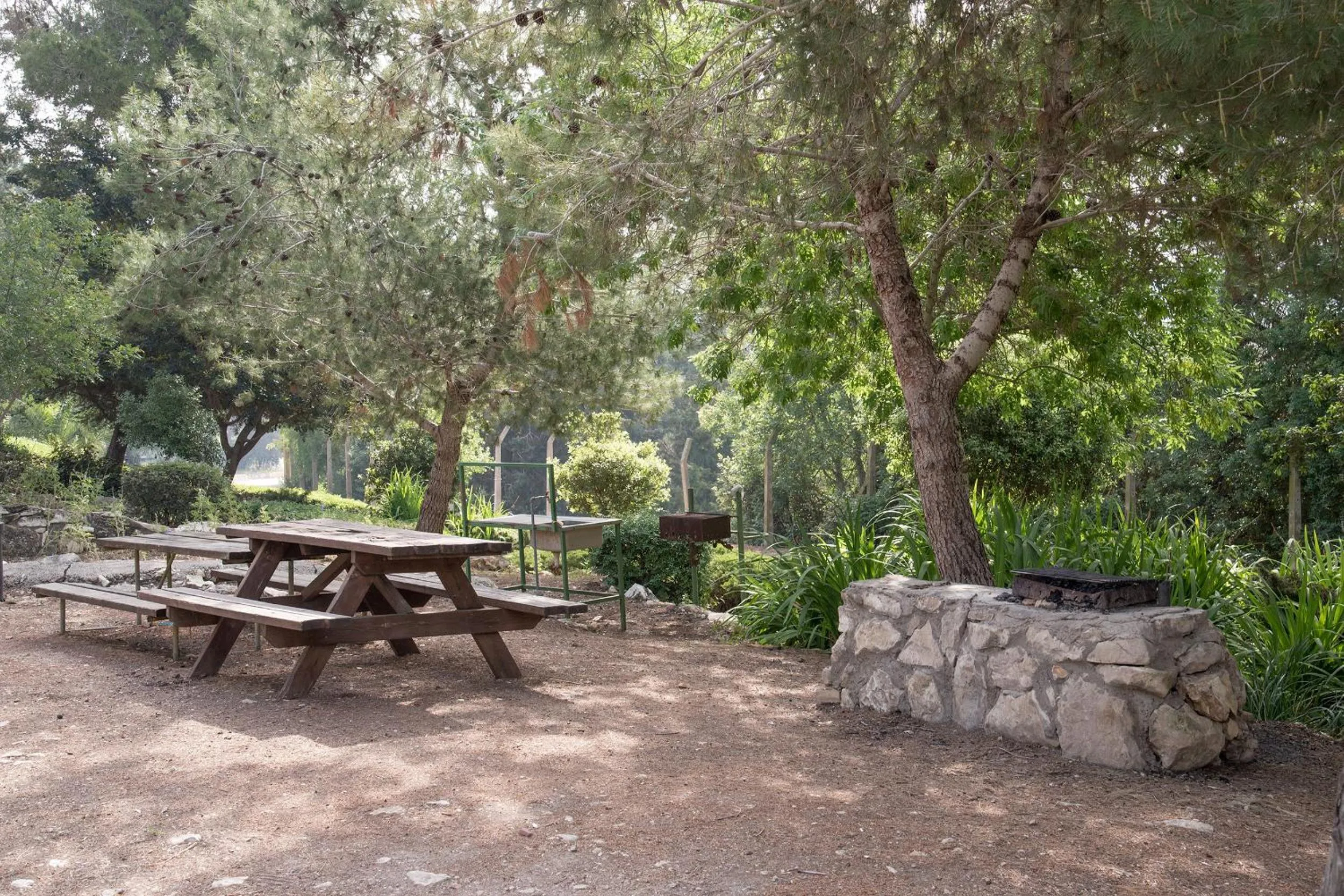 Natural landscape in Zohar Badeshe