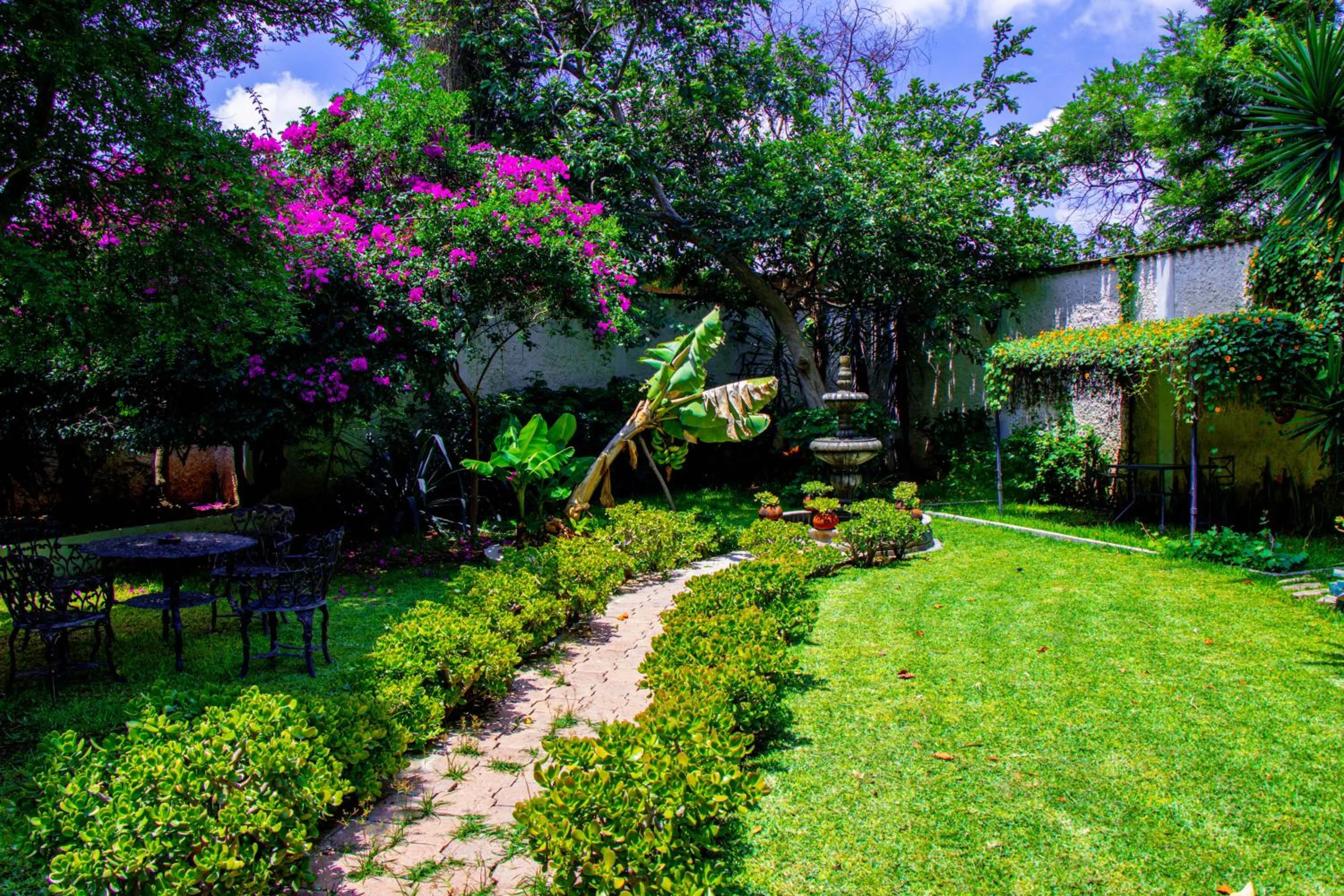 Posada las Margaritas