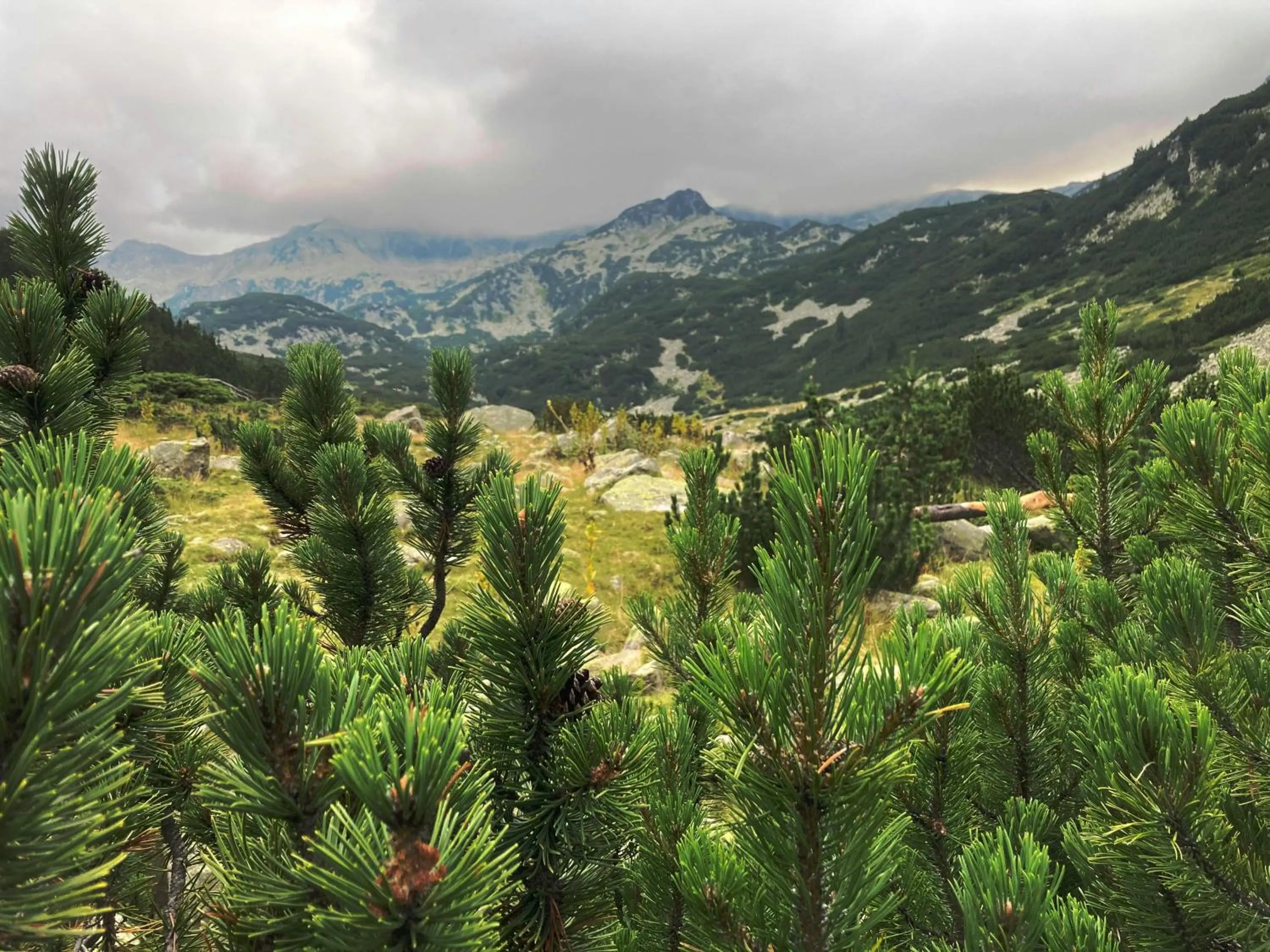 Nearby landmark in Hotel Ida