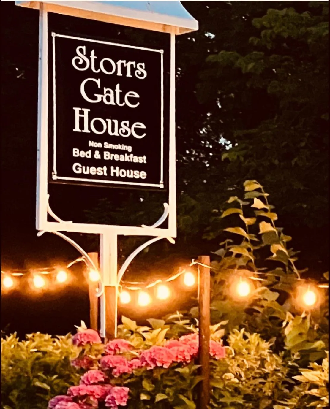 Garden in Storrs Gate House