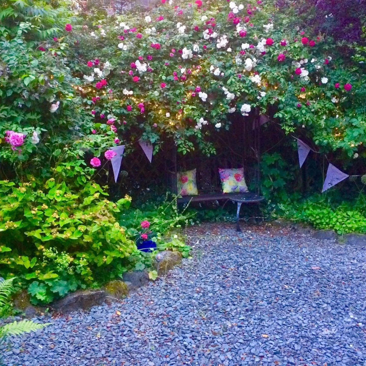 Garden in Storrs Gate House