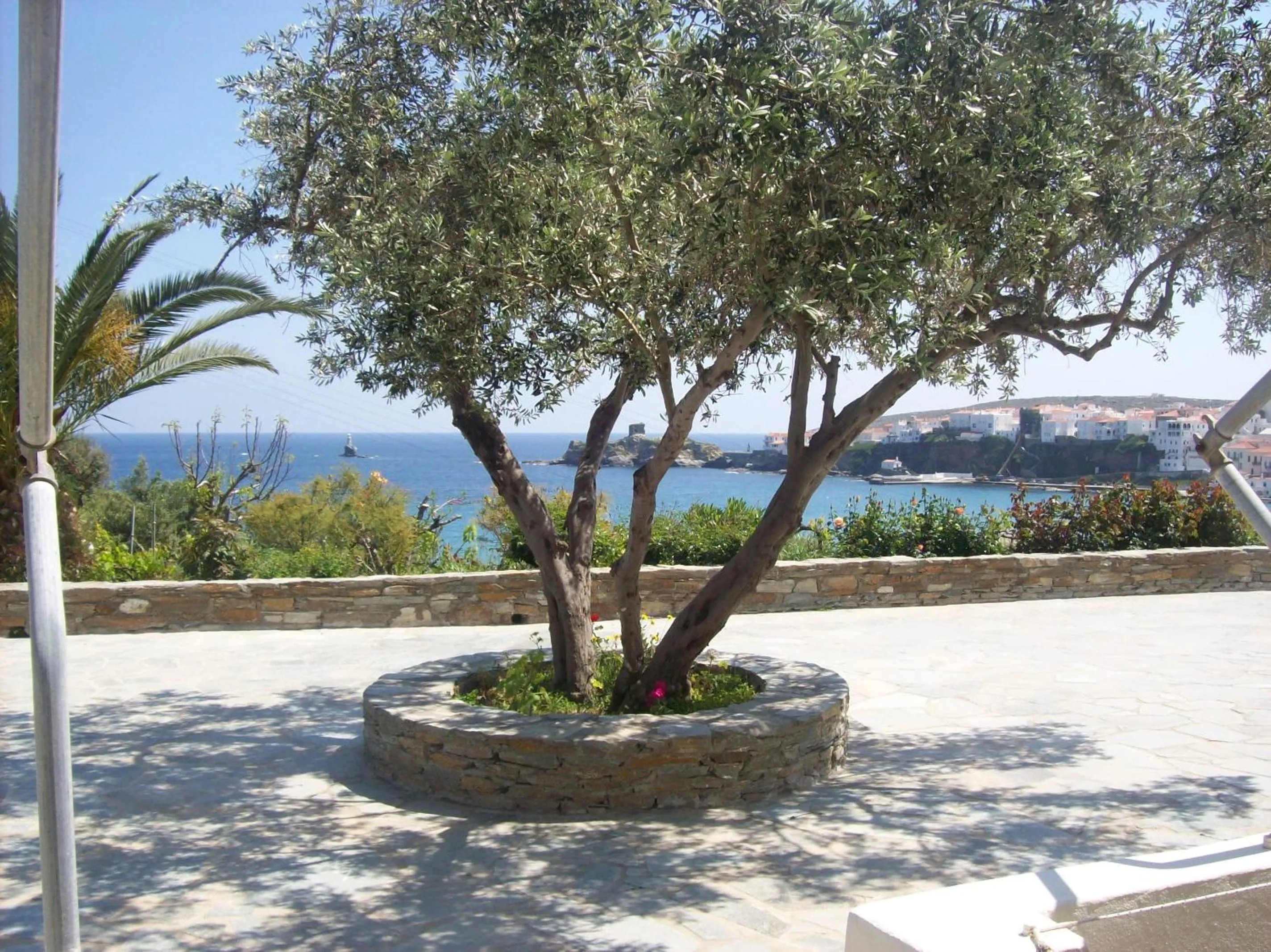 Natural landscape in Vassiliki Studios