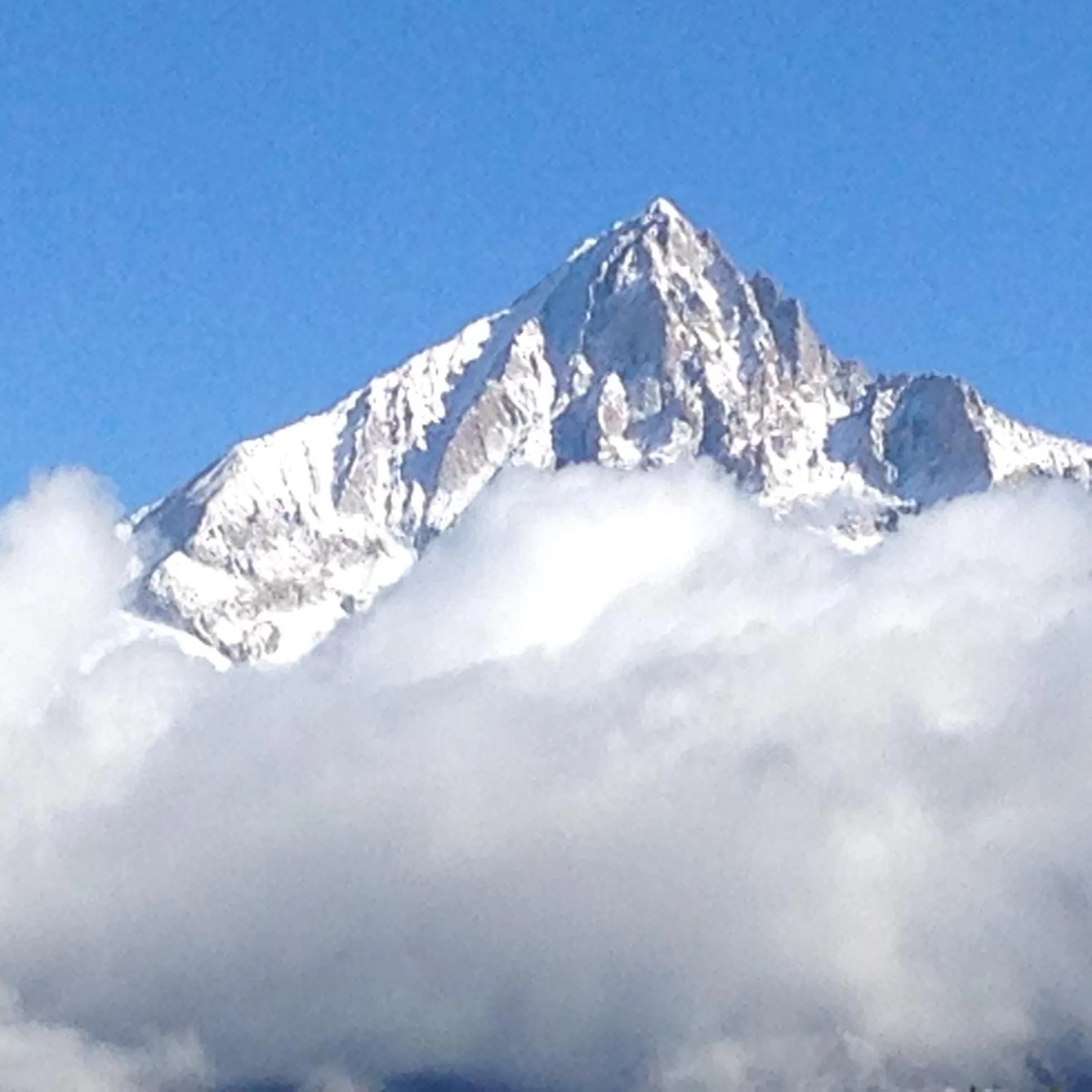 Natural landscape in Hotel-Restaurant Ronalp