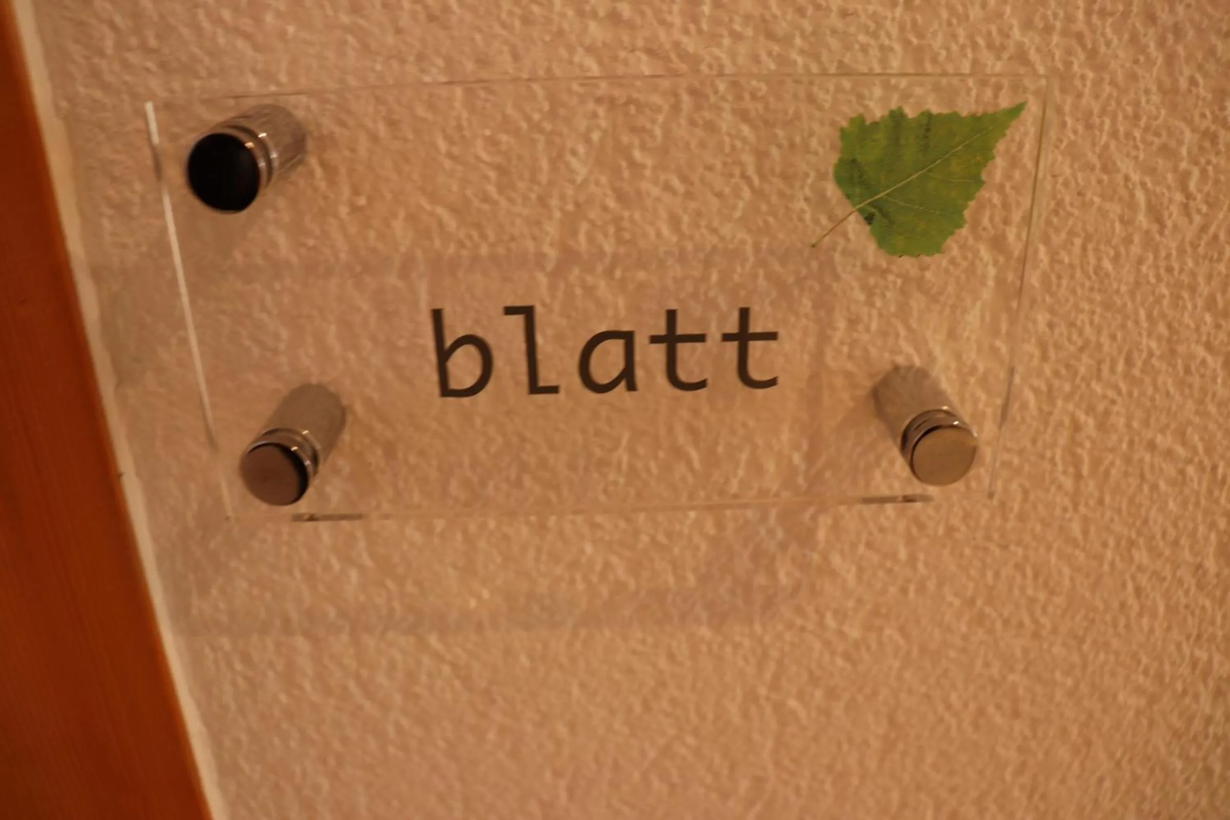 Photo of the whole room in Hotel-Restaurant Ronalp