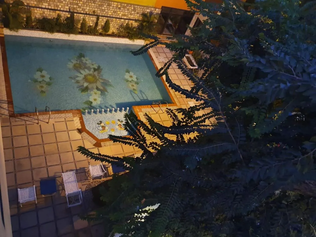 Pool view in Hotel Corbett Kingdom